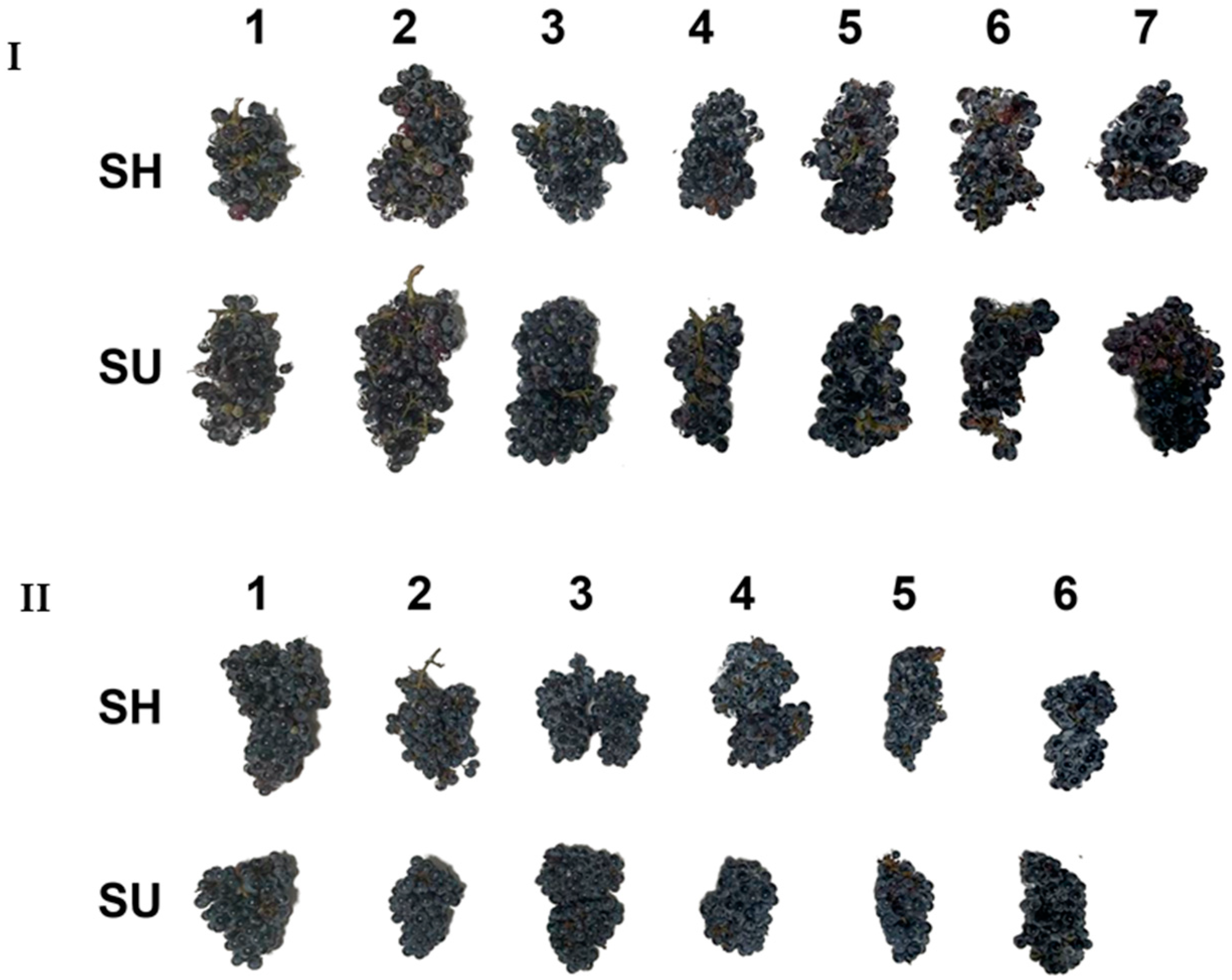 Foods 13 00857 sch001