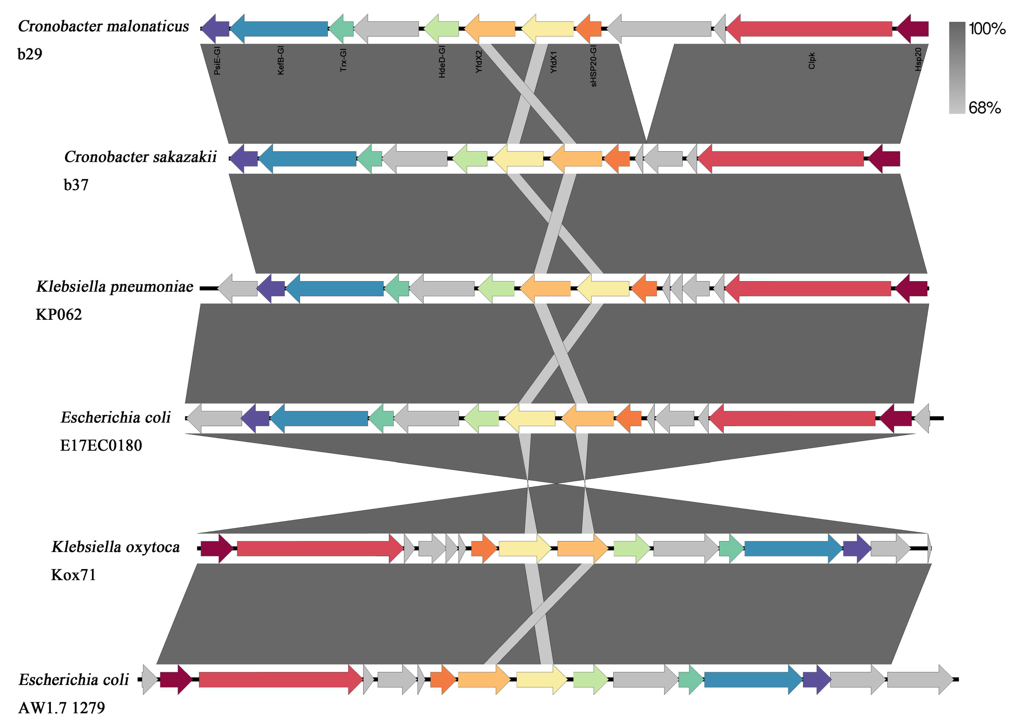 Foods 13 00871 g003 Foods 13 00871 g003