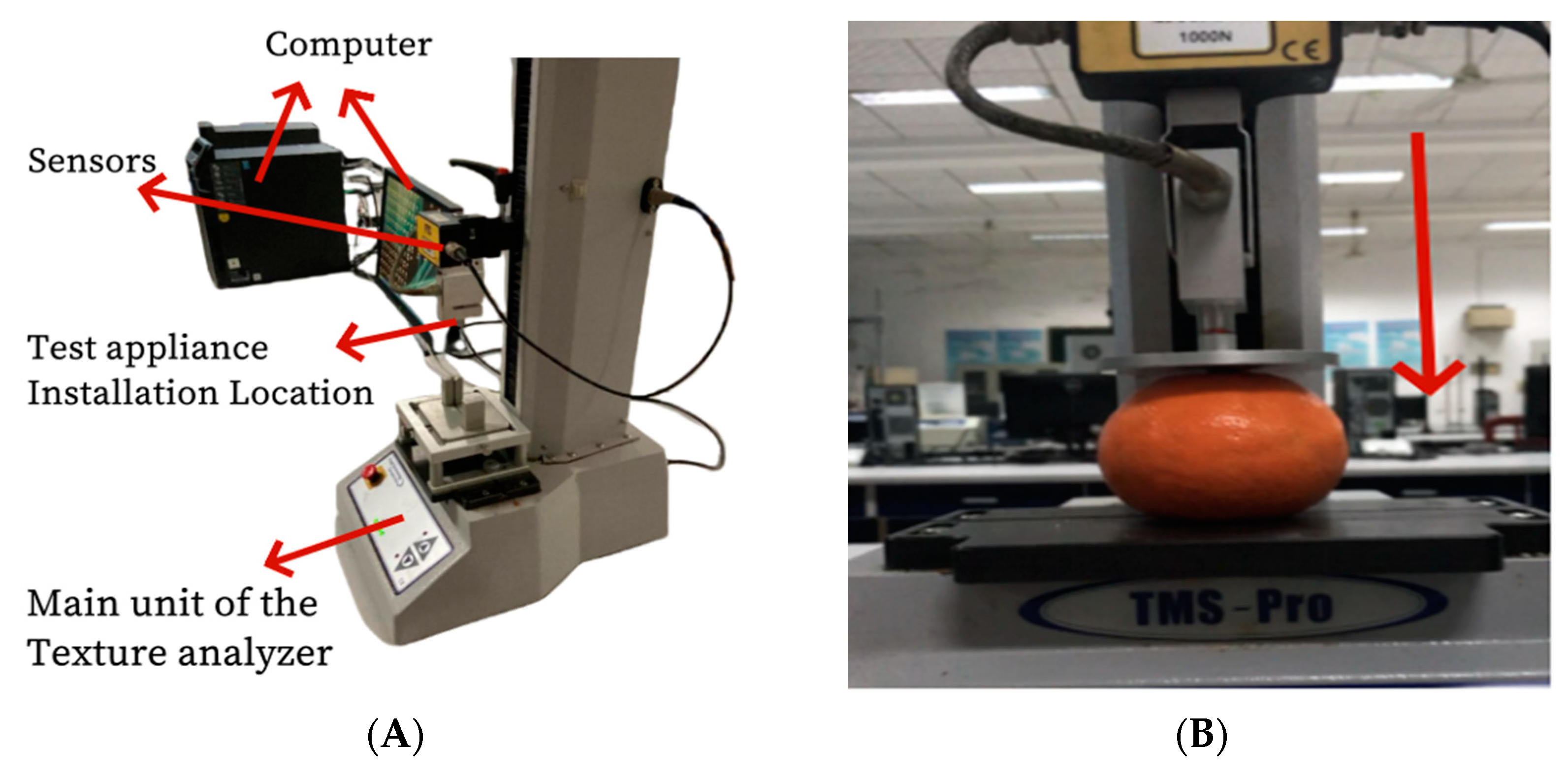 Foods 13 00892 g001 Foods 13 00892 g001