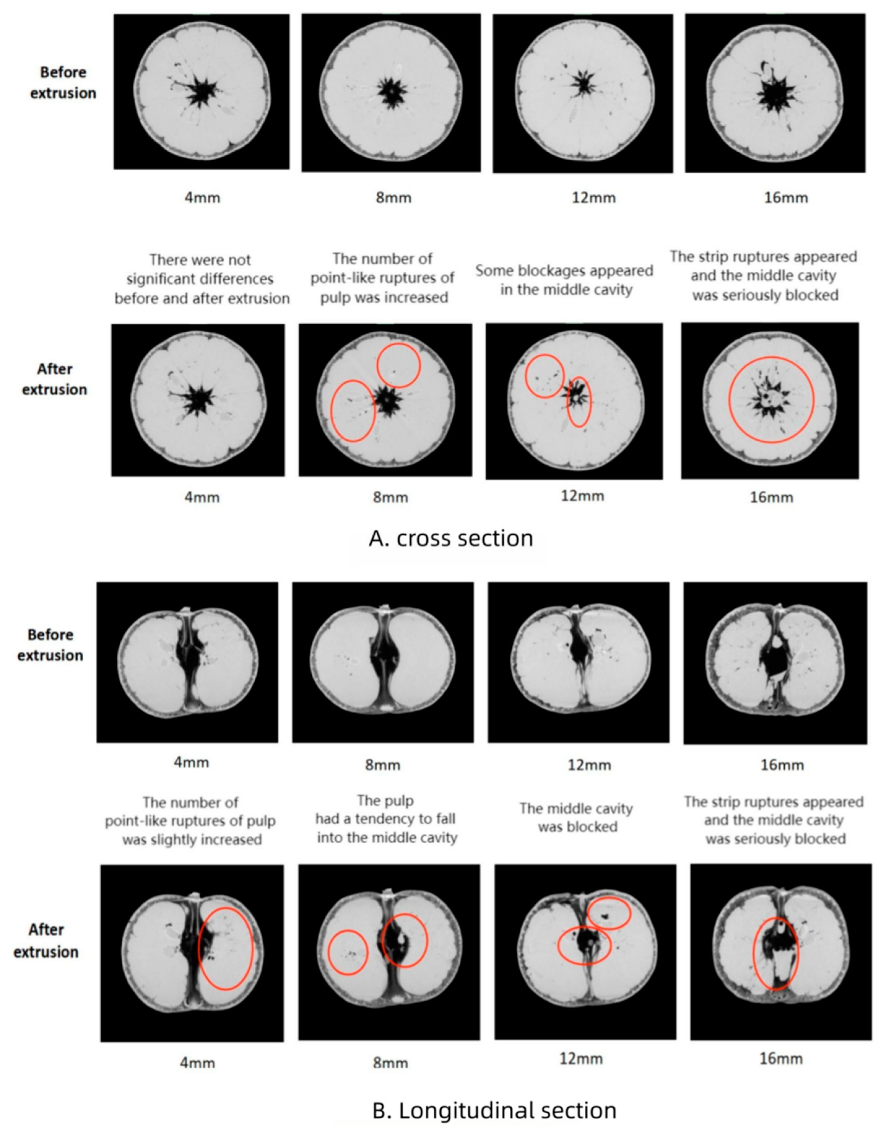 Foods 13 00892 g002 Foods 13 00892 g002