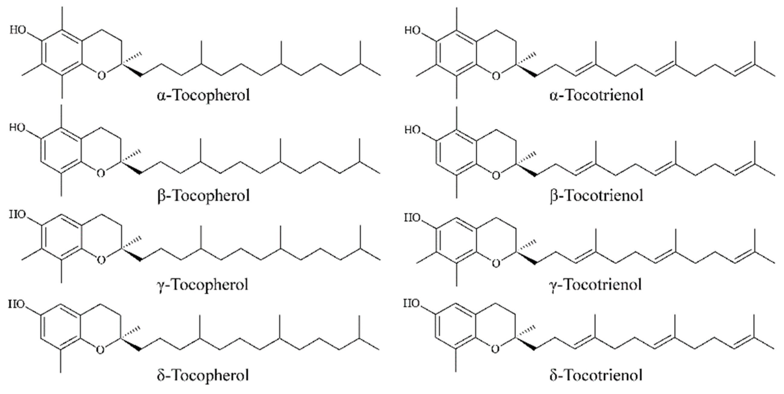 Foods 13 00898 g001 Foods 13 00898 g001