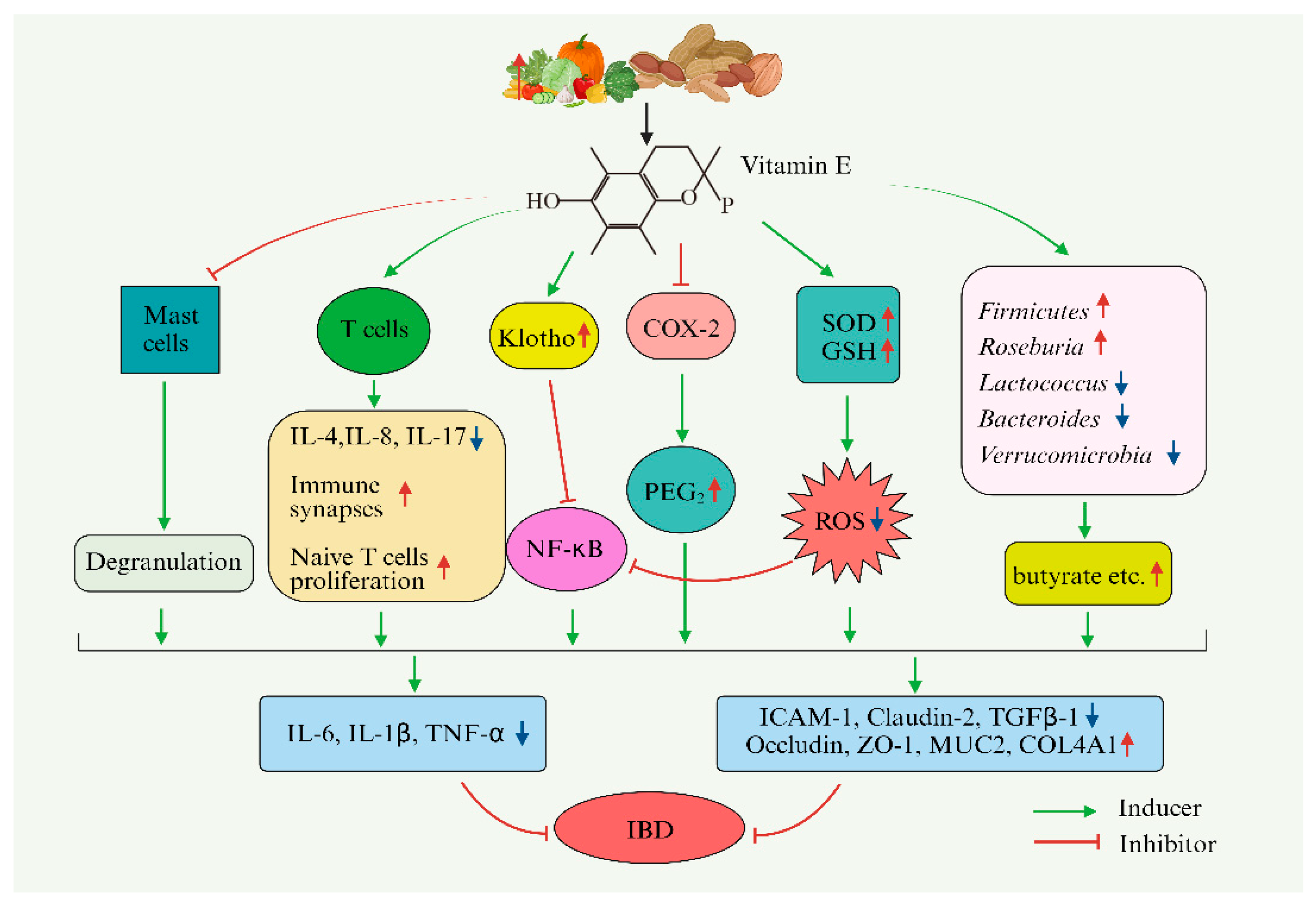 Foods 13 00898 g003 Foods 13 00898 g003