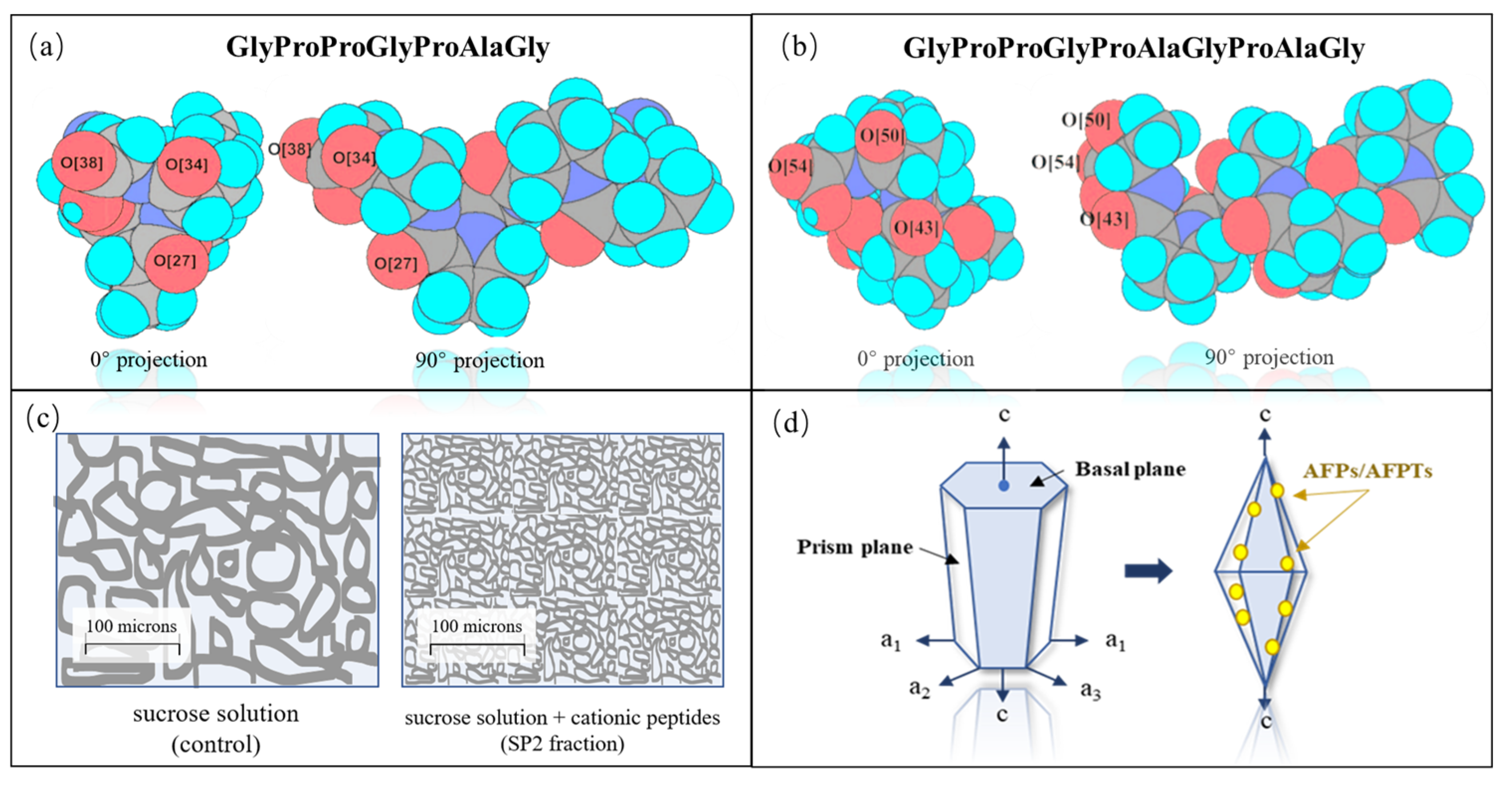 Foods 13 00917 g002 Foods 13 00917 g002