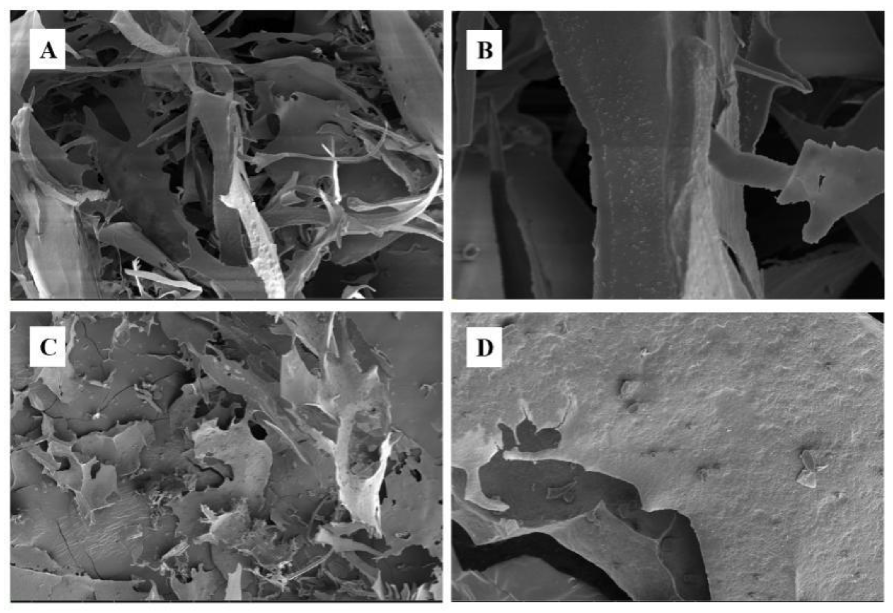 Foods 13 00932 g005 Foods 13 00932 g005