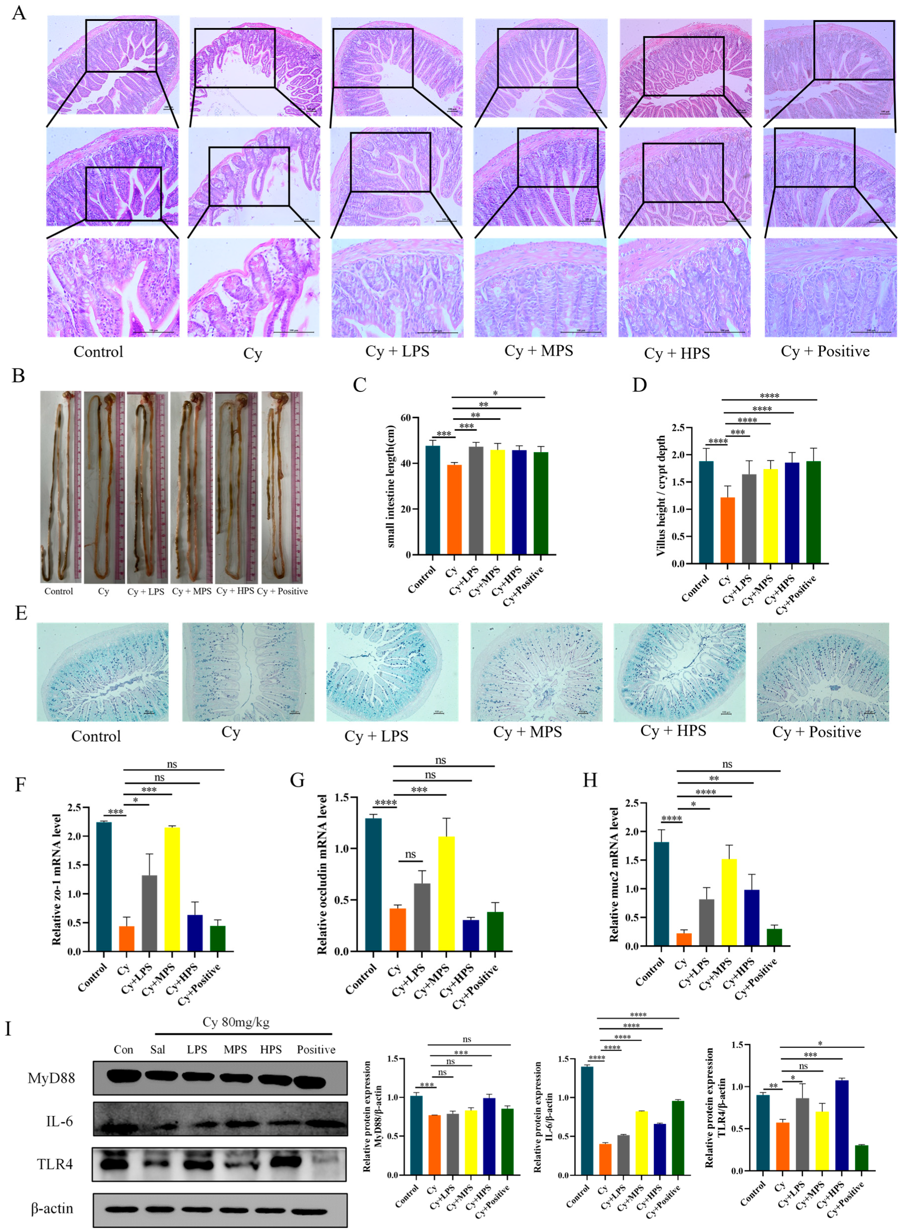 Foods 13 00934 g007 Foods 13 00934 g007