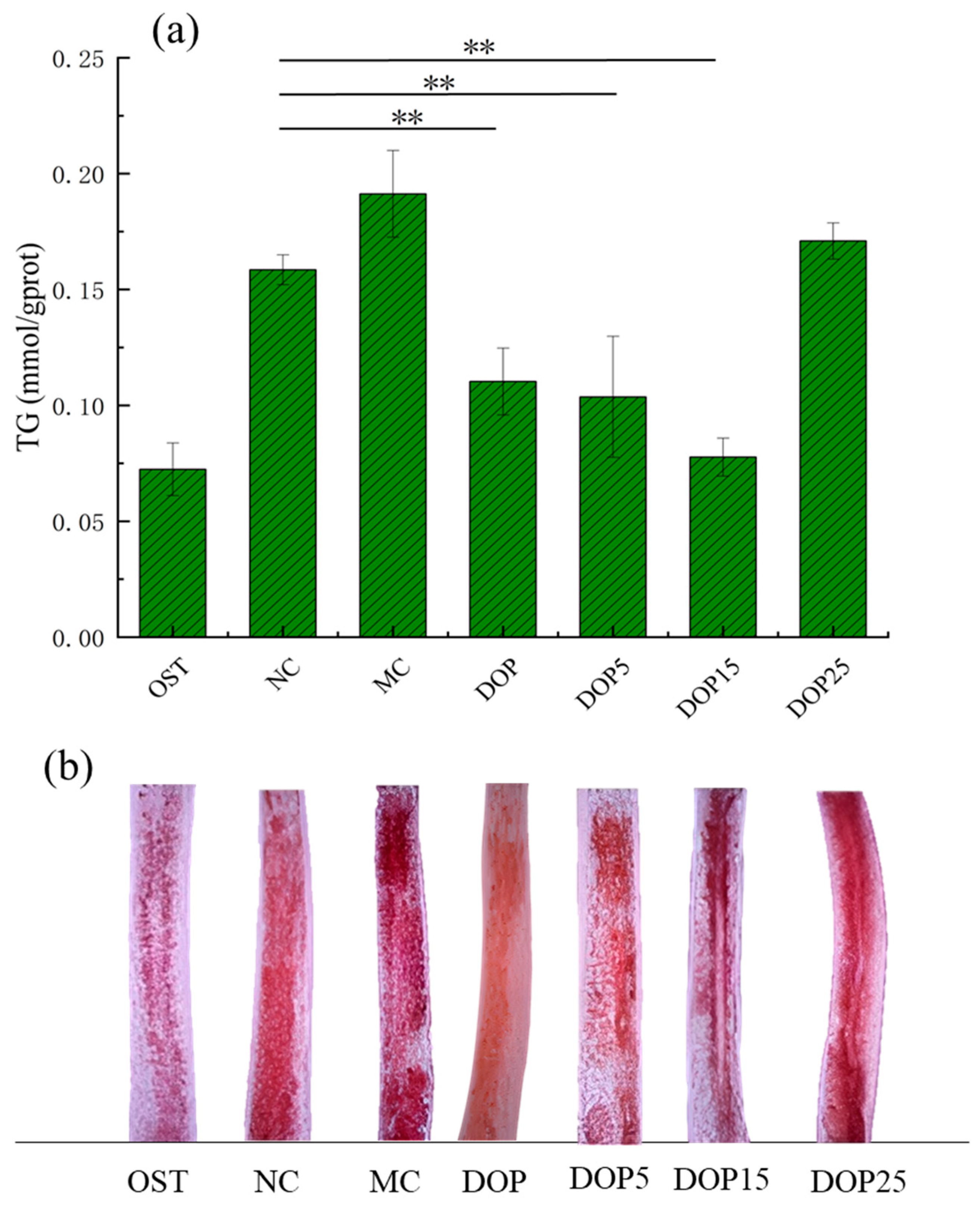 Foods 13 01040 g008 Foods 13 01040 g008