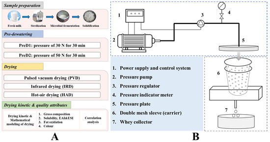Impact of the Pre-Dehydration and Drying Methods on the Mass