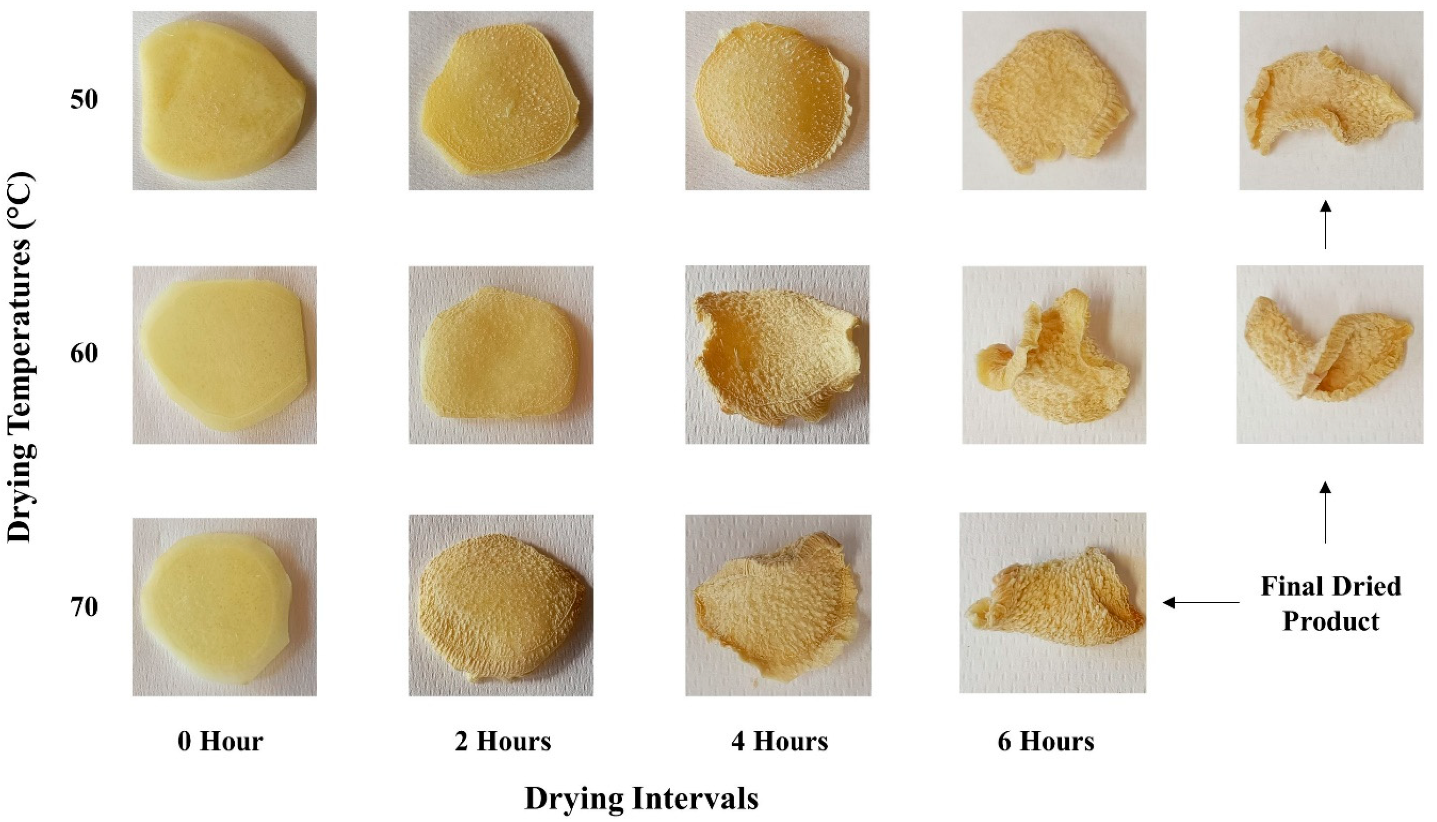 Foods 13 01096 g004 Foods 13 01096 g004