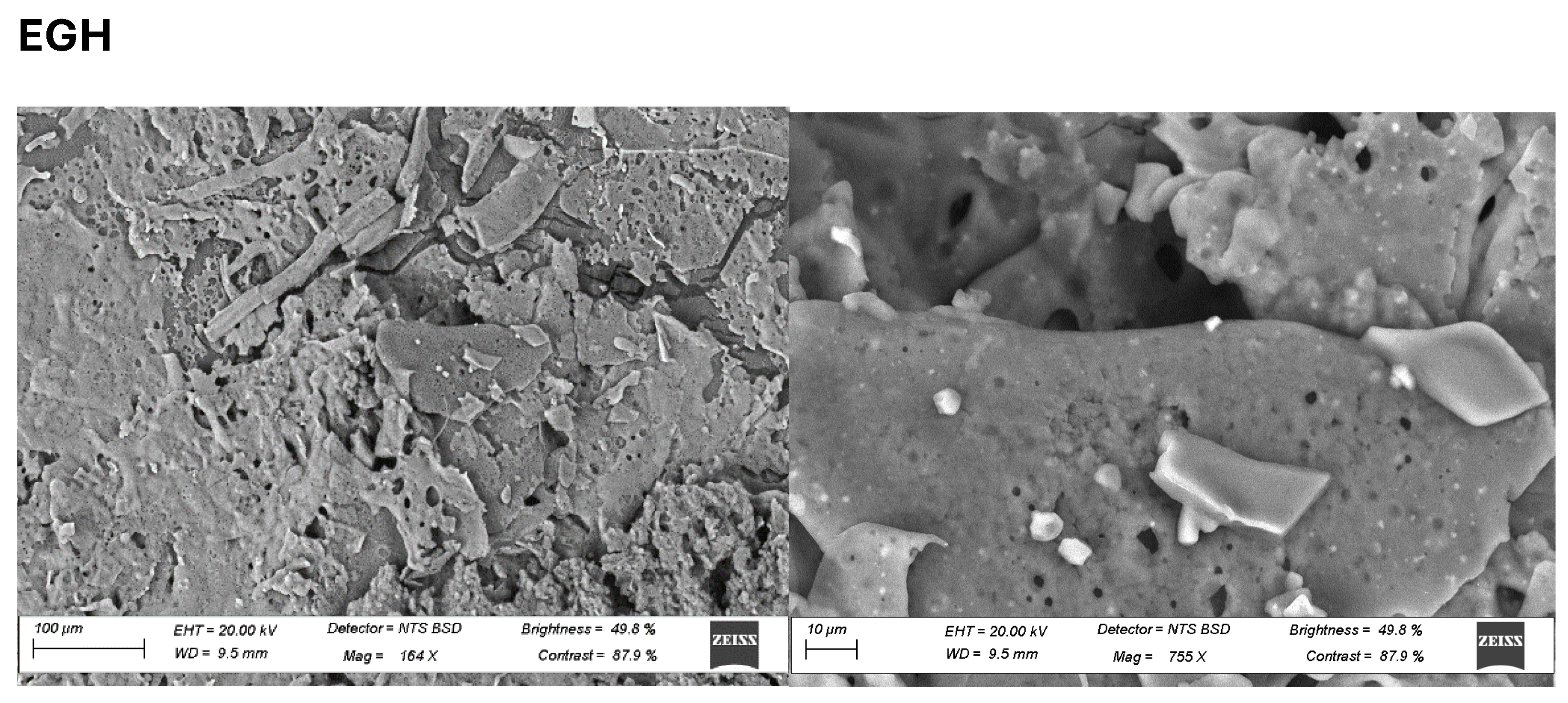 Foods 13 01131 g007a