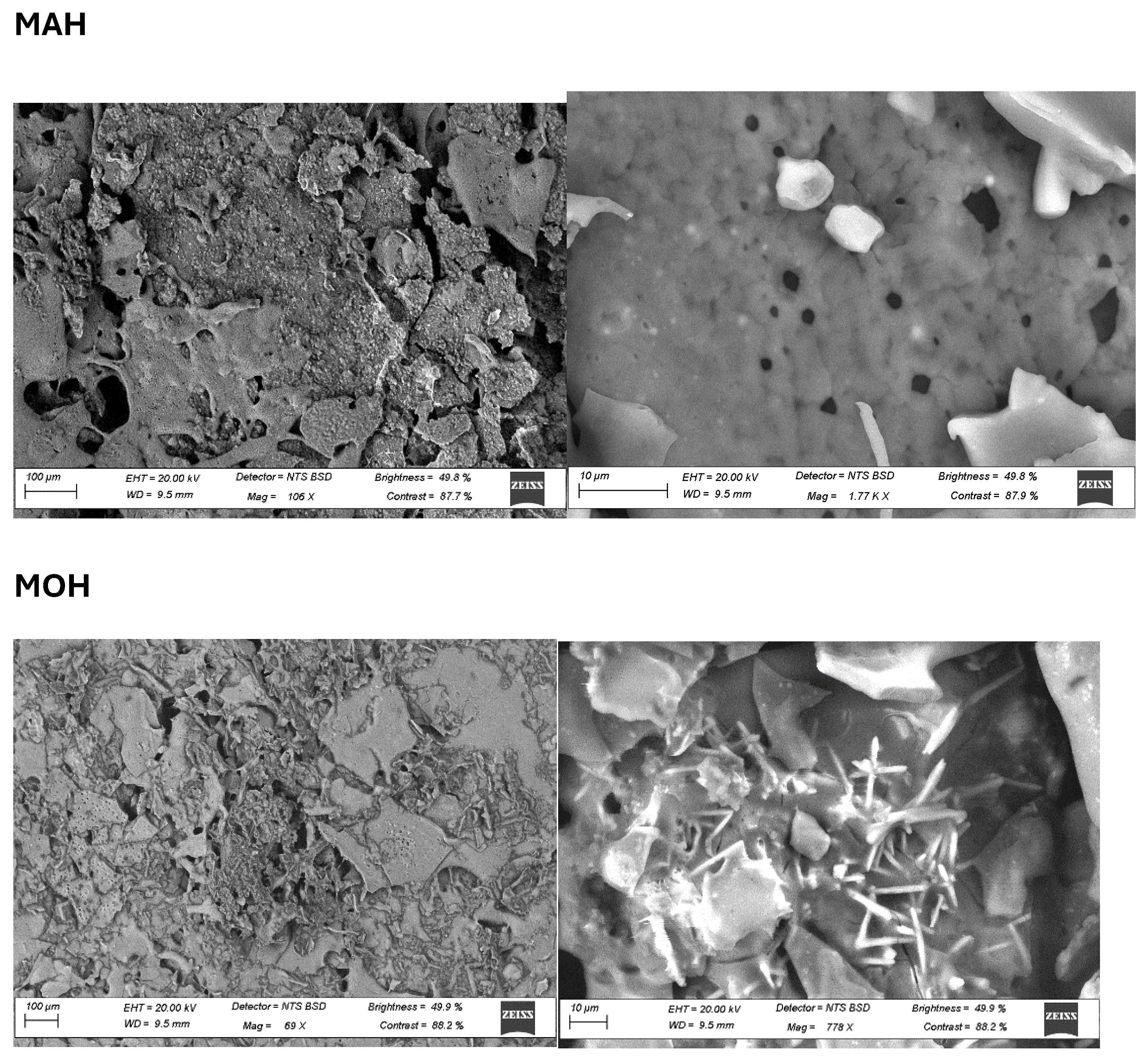 Foods 13 01131 g007b