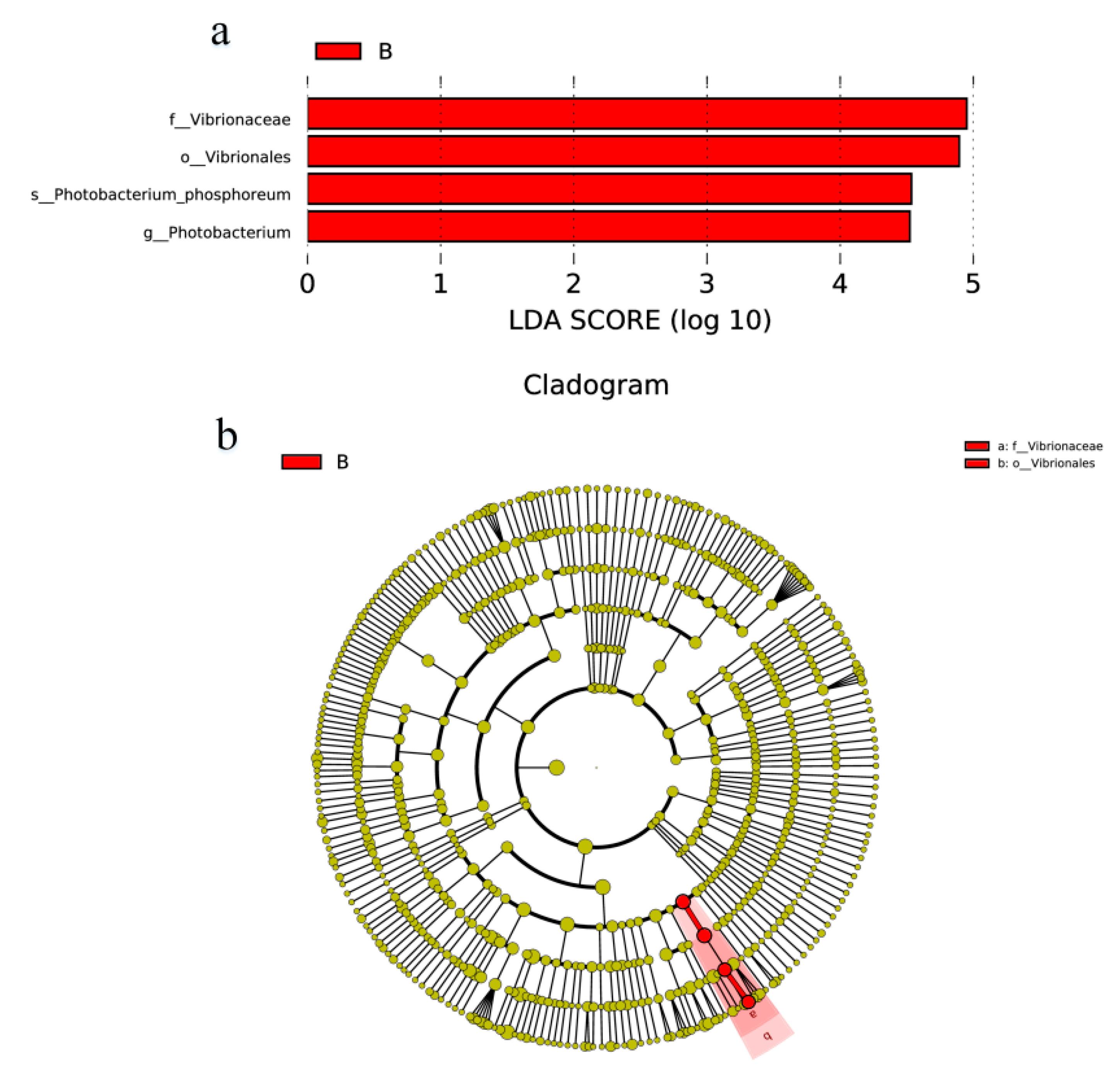 Foods 13 01143 g005 Foods 13 01143 g005
