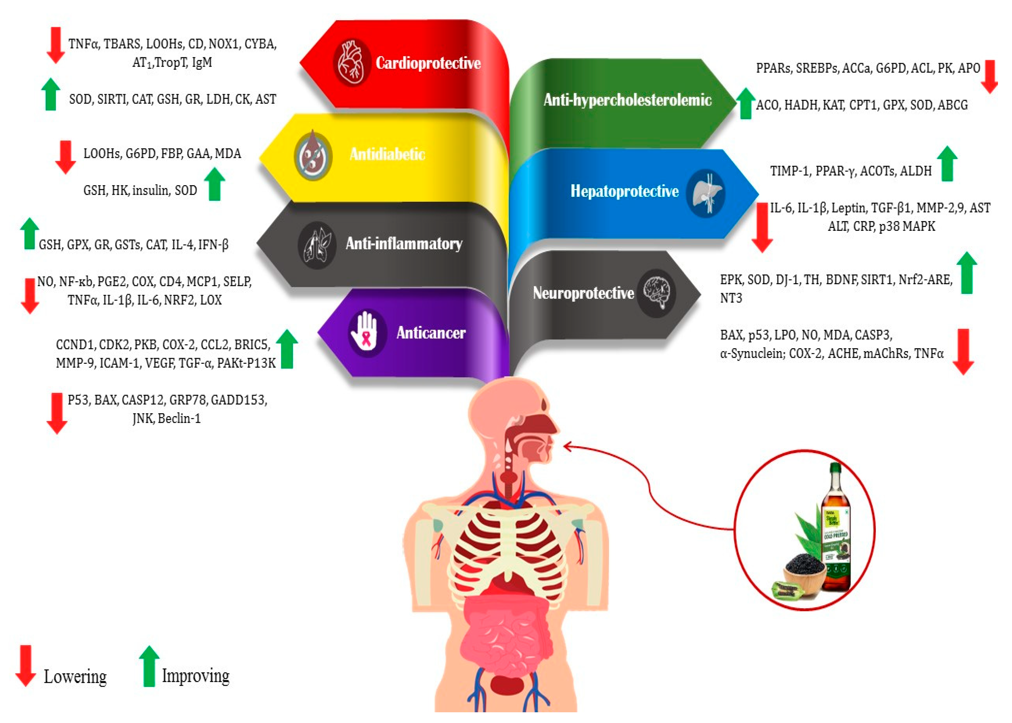 Foods 13 01153 g002 Foods 13 01153 g002