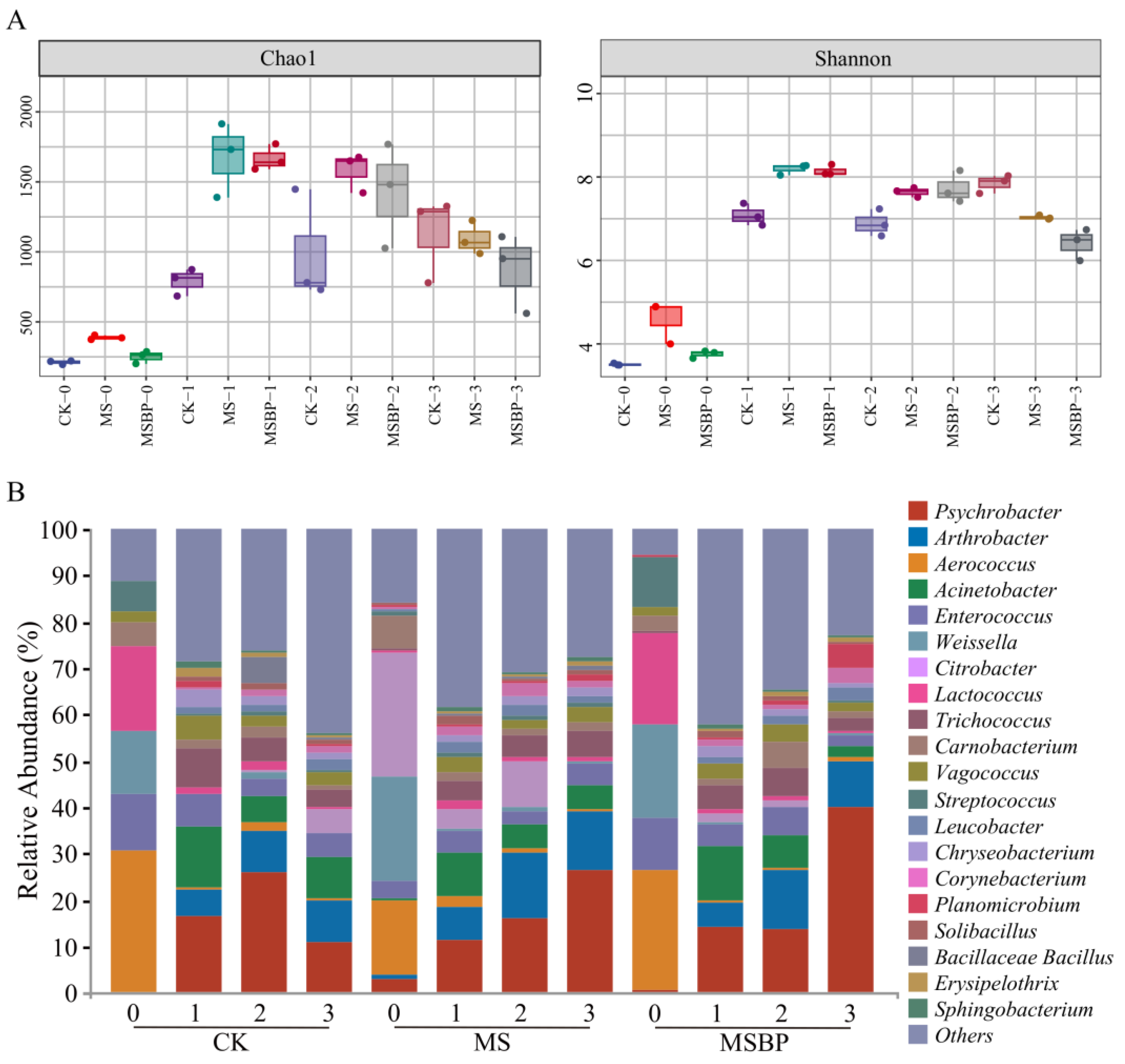 2024 お歳暮【公式】 - 人気ブランド Changes in the Quality and Microbial Communities of デュエルマスターズ
