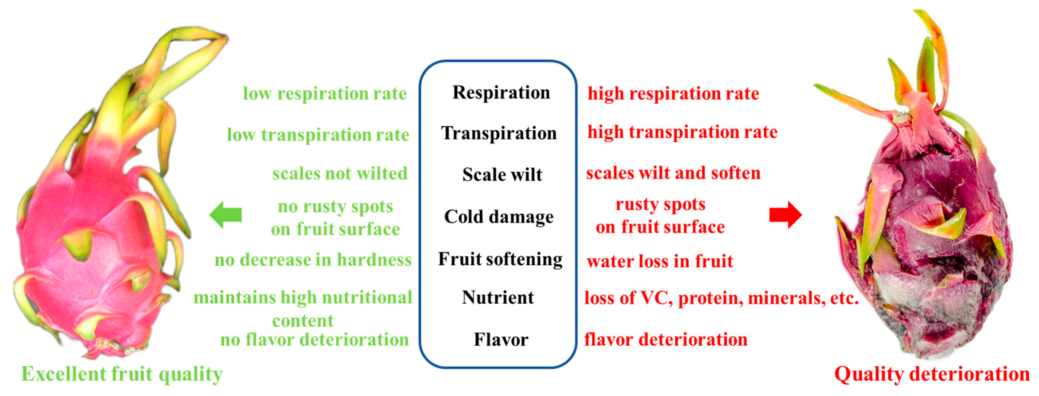 Foods 13 01307 g001 Foods 13 01307 g001