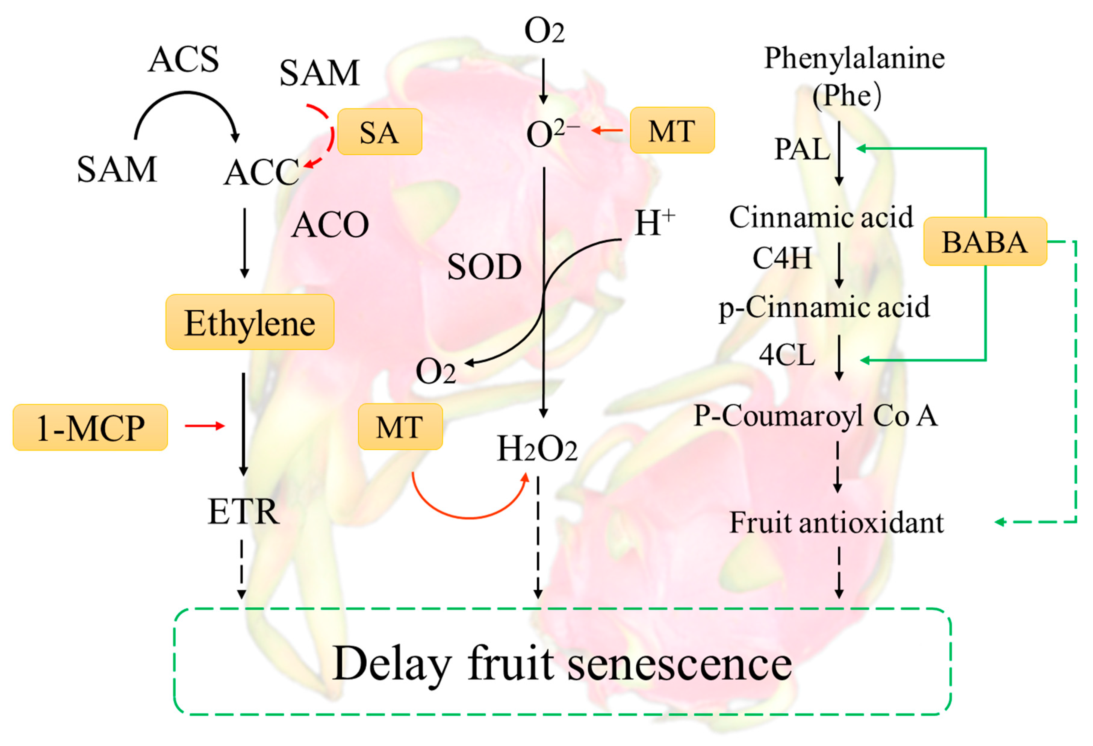 Foods 13 01307 g003 Foods 13 01307 g003