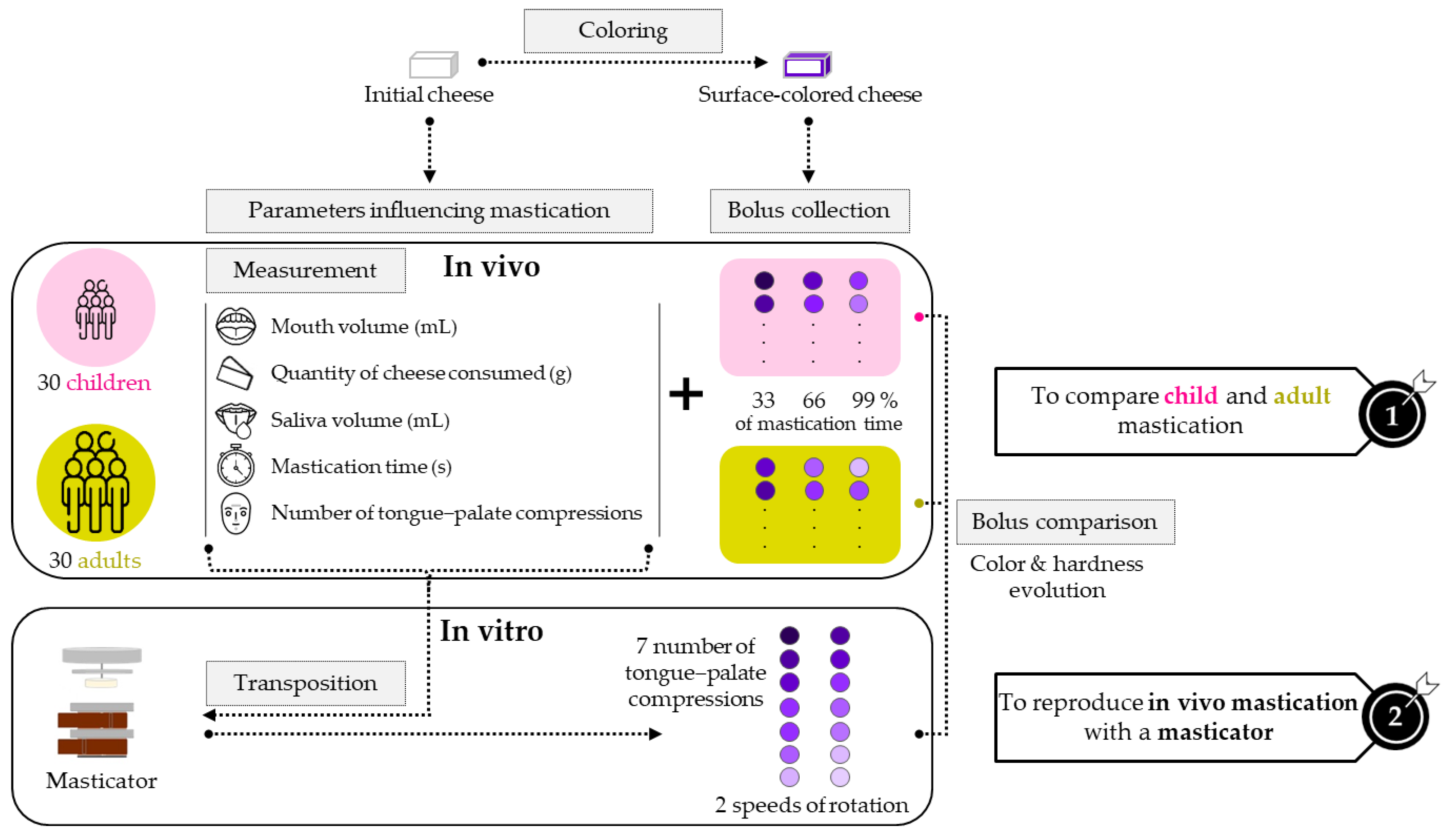 Comparison of Child and Adult Mastication of a Sticky Processed 