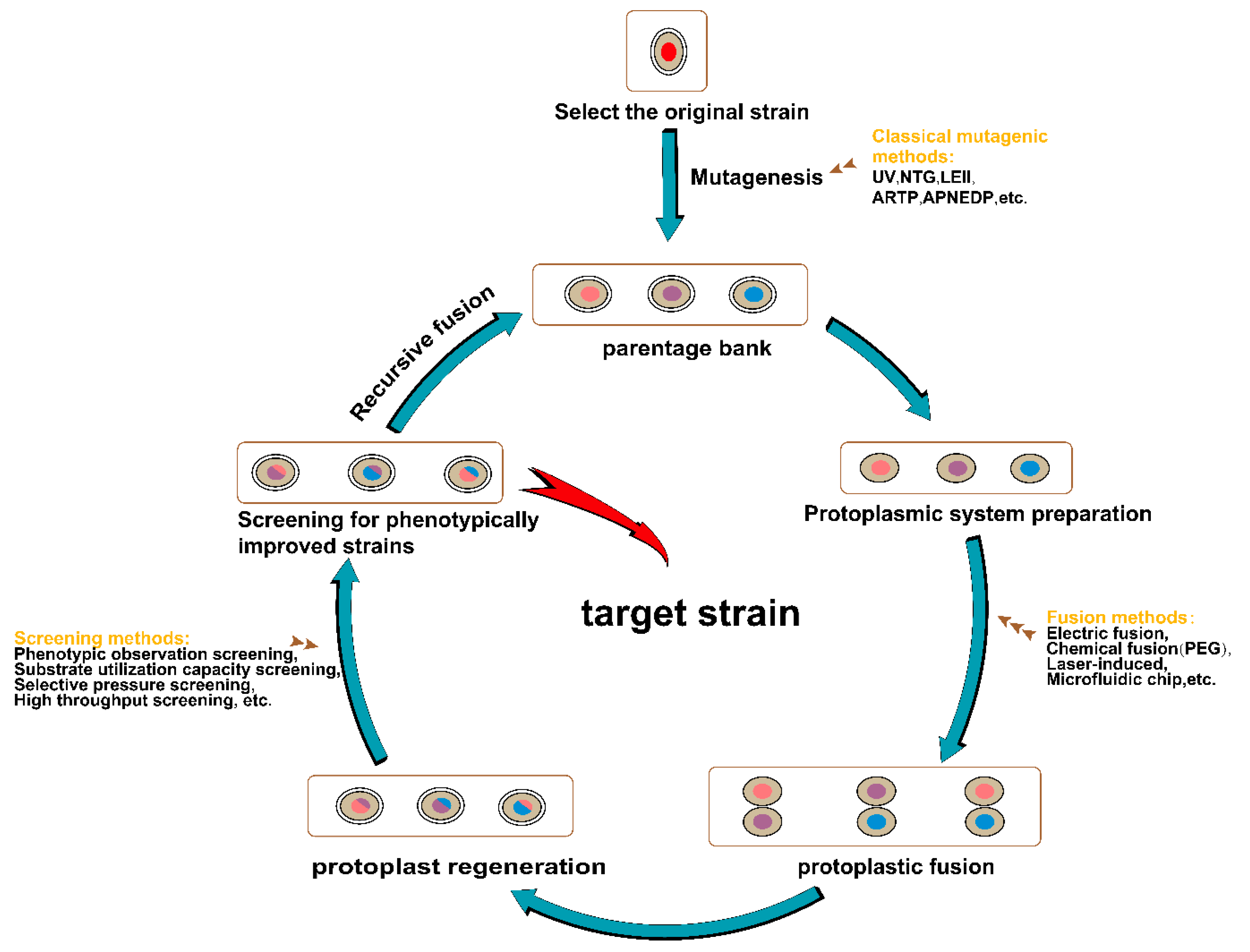 Foods 13 01396 g007 Foods 13 01396 g007