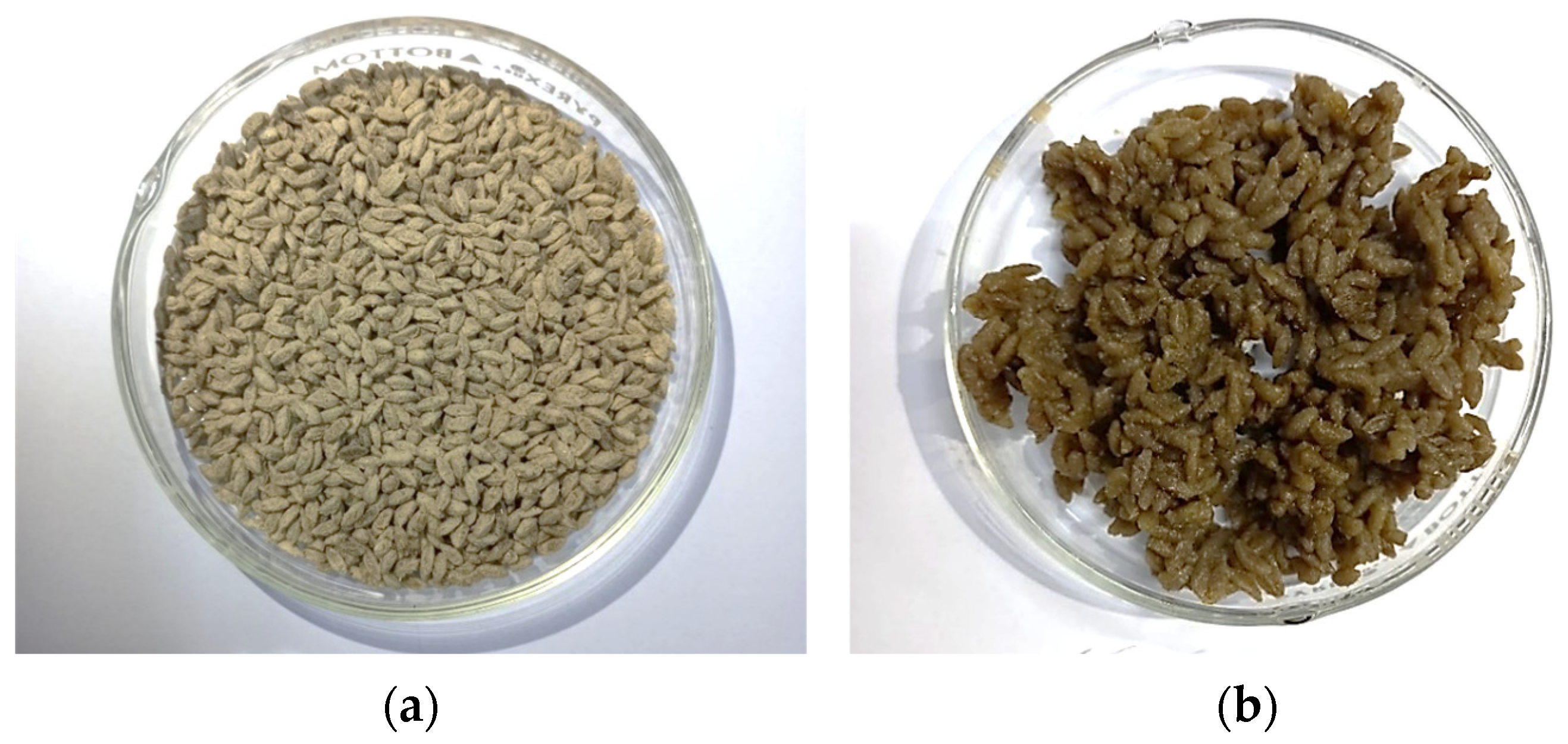 Foods 13 01438 g002 Foods 13 01438 g002