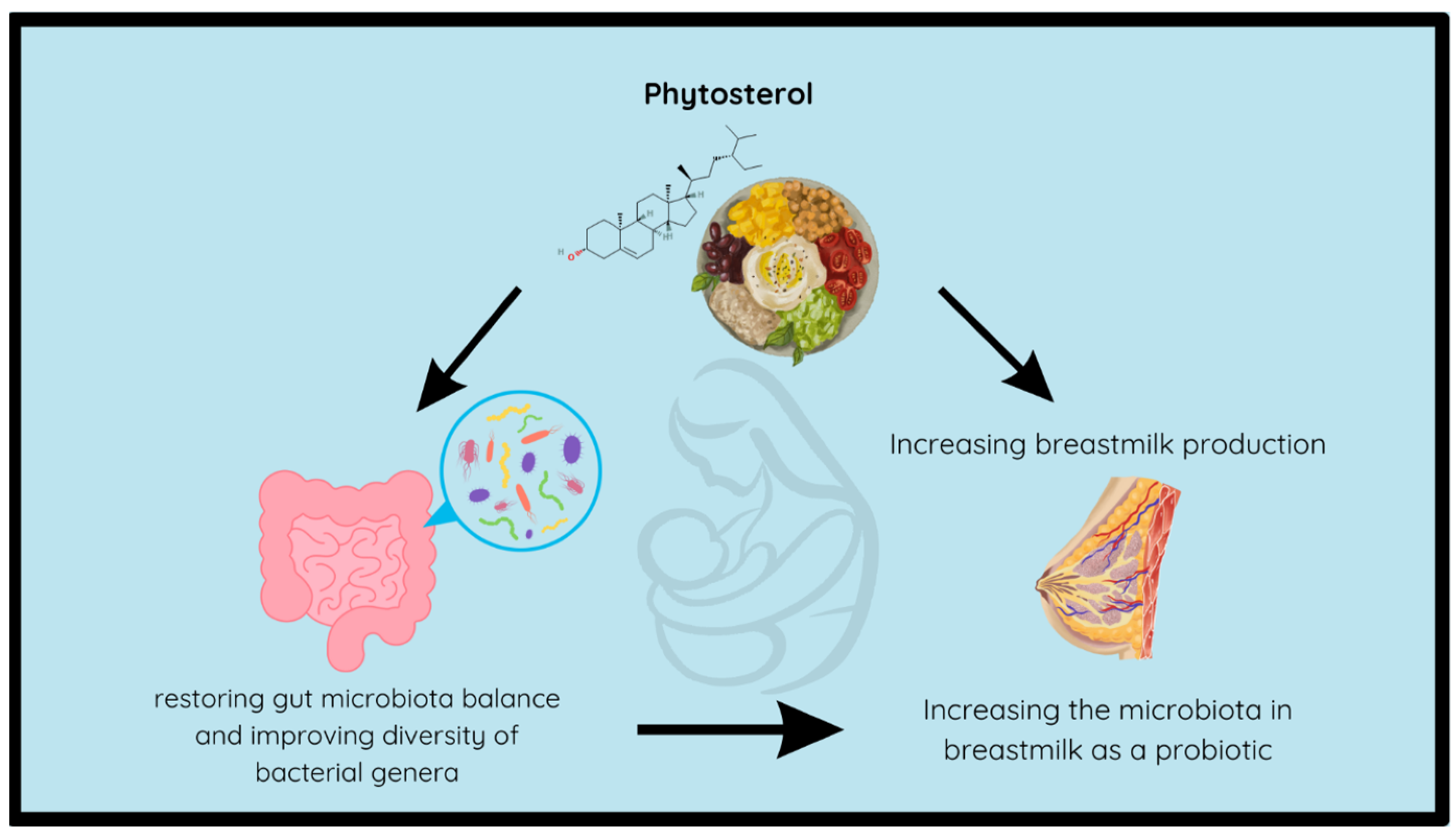 Foods 13 01438 g006 Foods 13 01438 g006