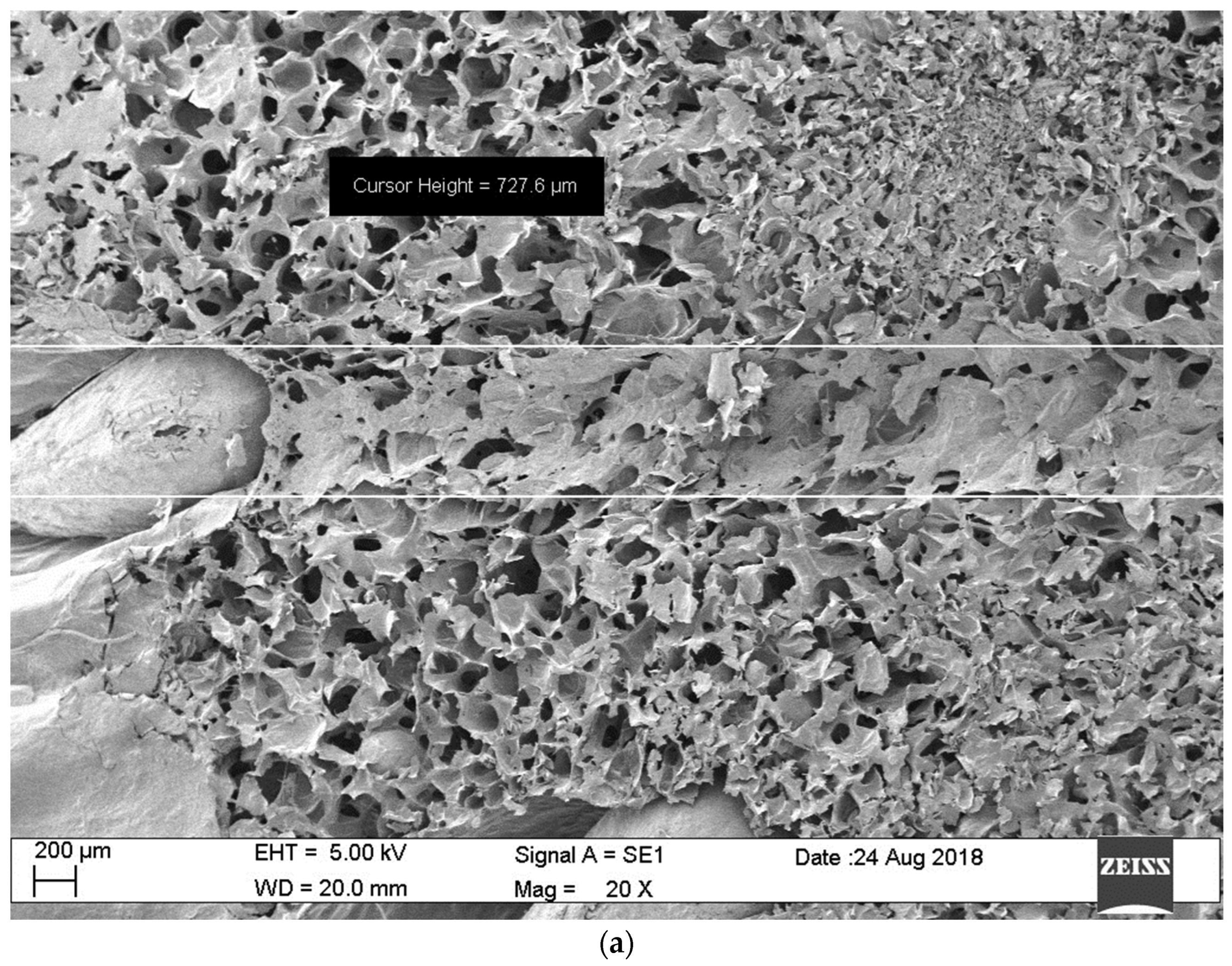 Foods 13 01465 g005a