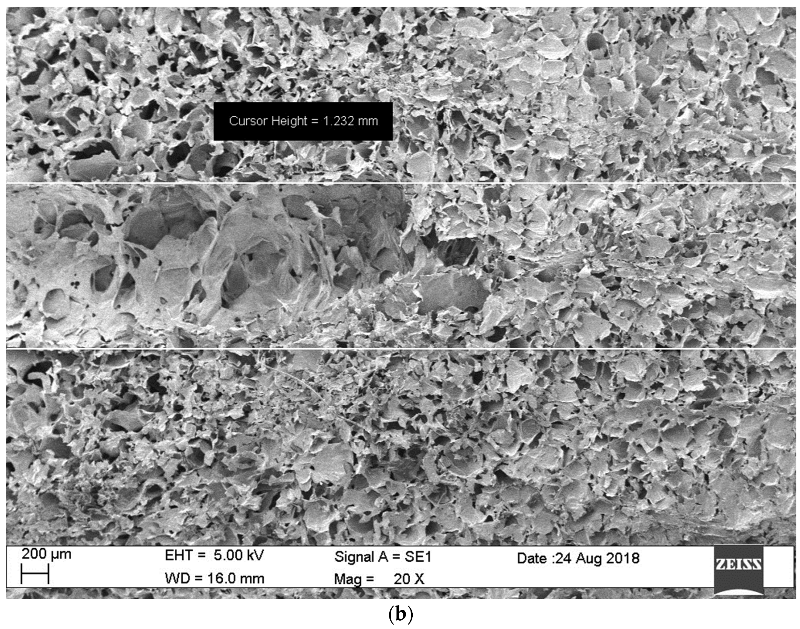 Foods 13 01465 g005b