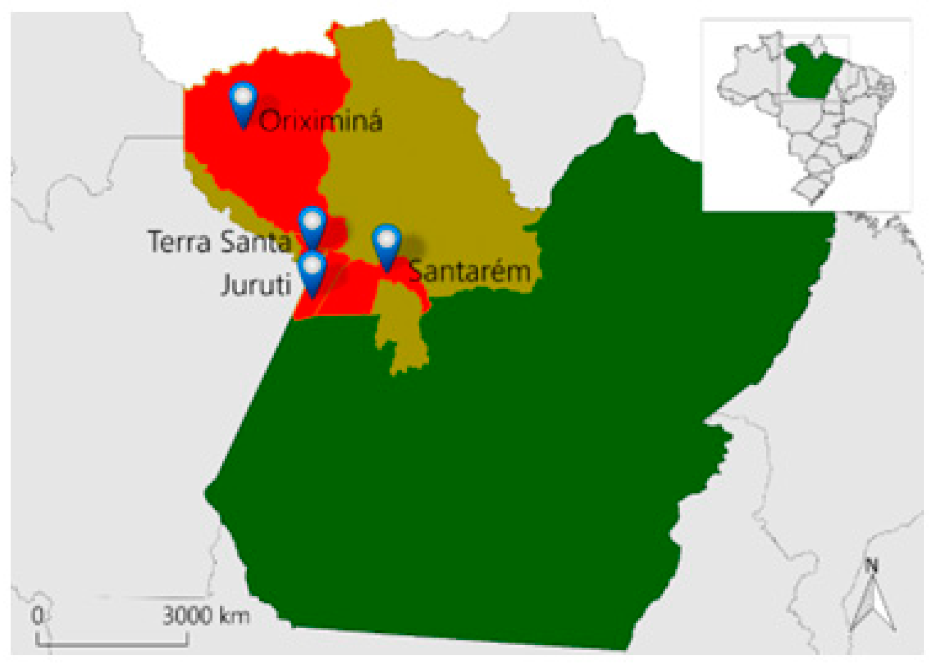 Foods 13 01490 g001 Foods 13 01490 g001