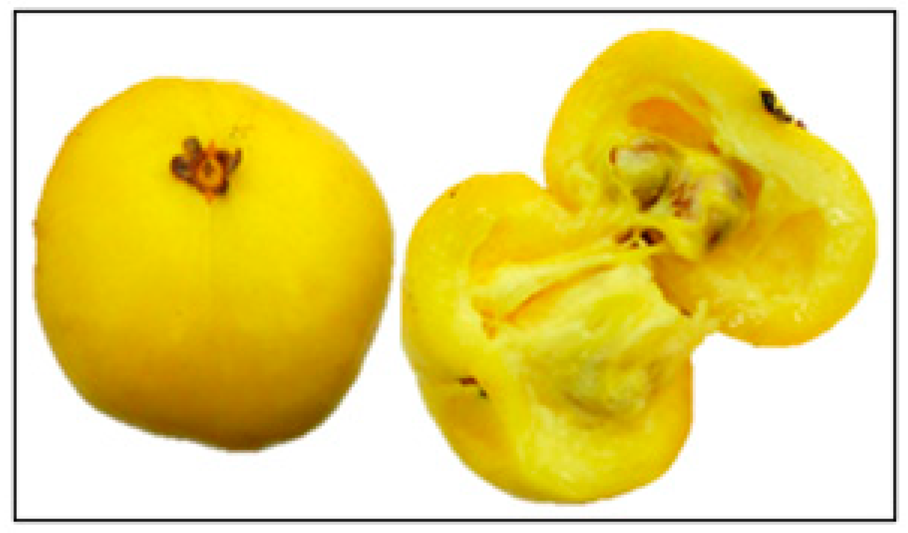 Foods 13 01490 g002 Foods 13 01490 g002