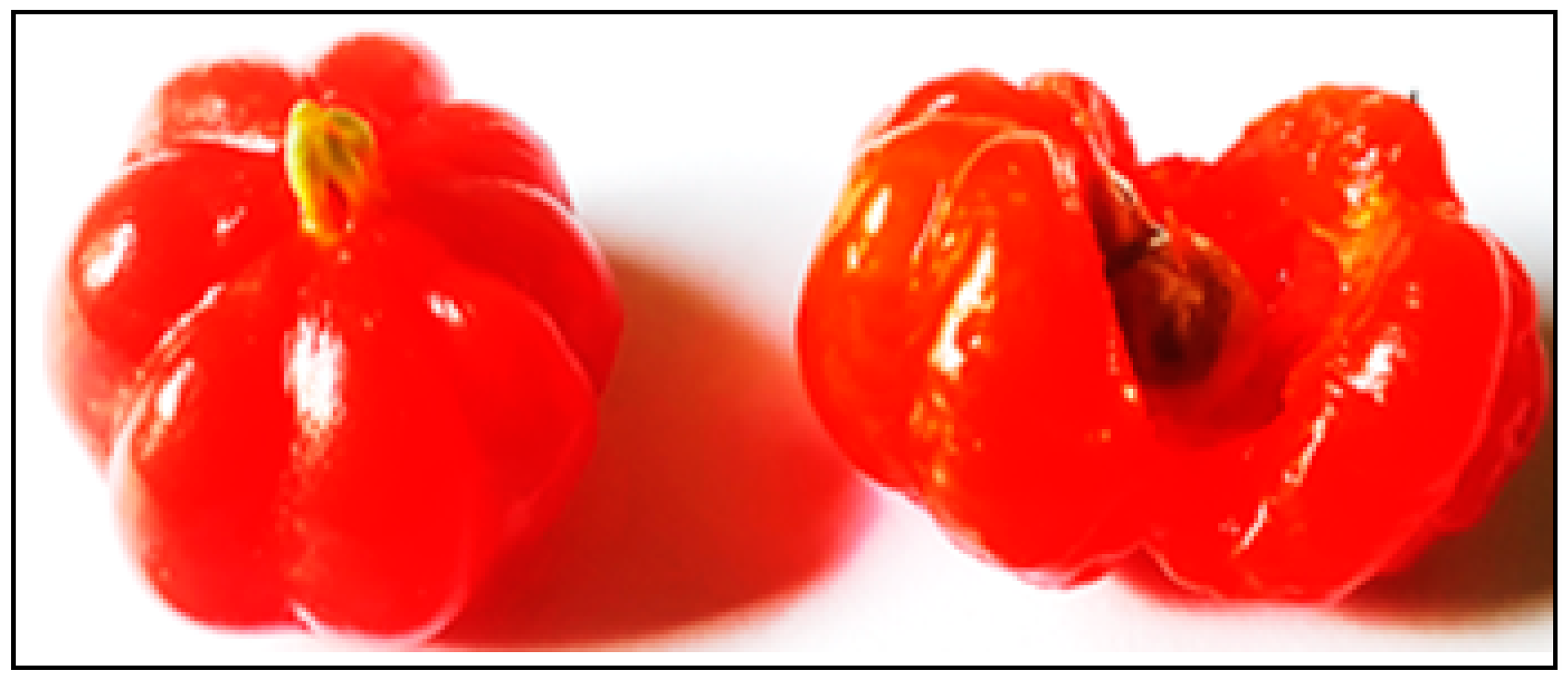 Foods 13 01490 g004 Foods 13 01490 g004