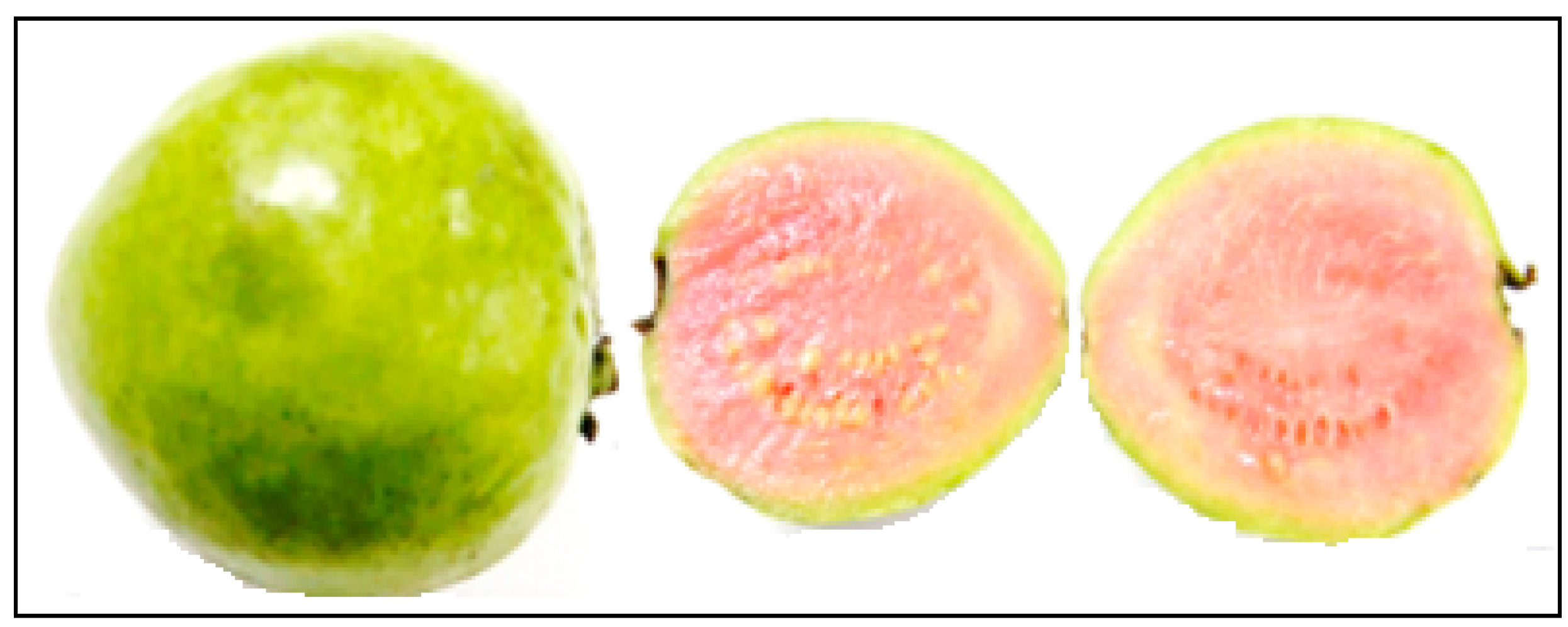 Foods 13 01490 g008 Foods 13 01490 g008