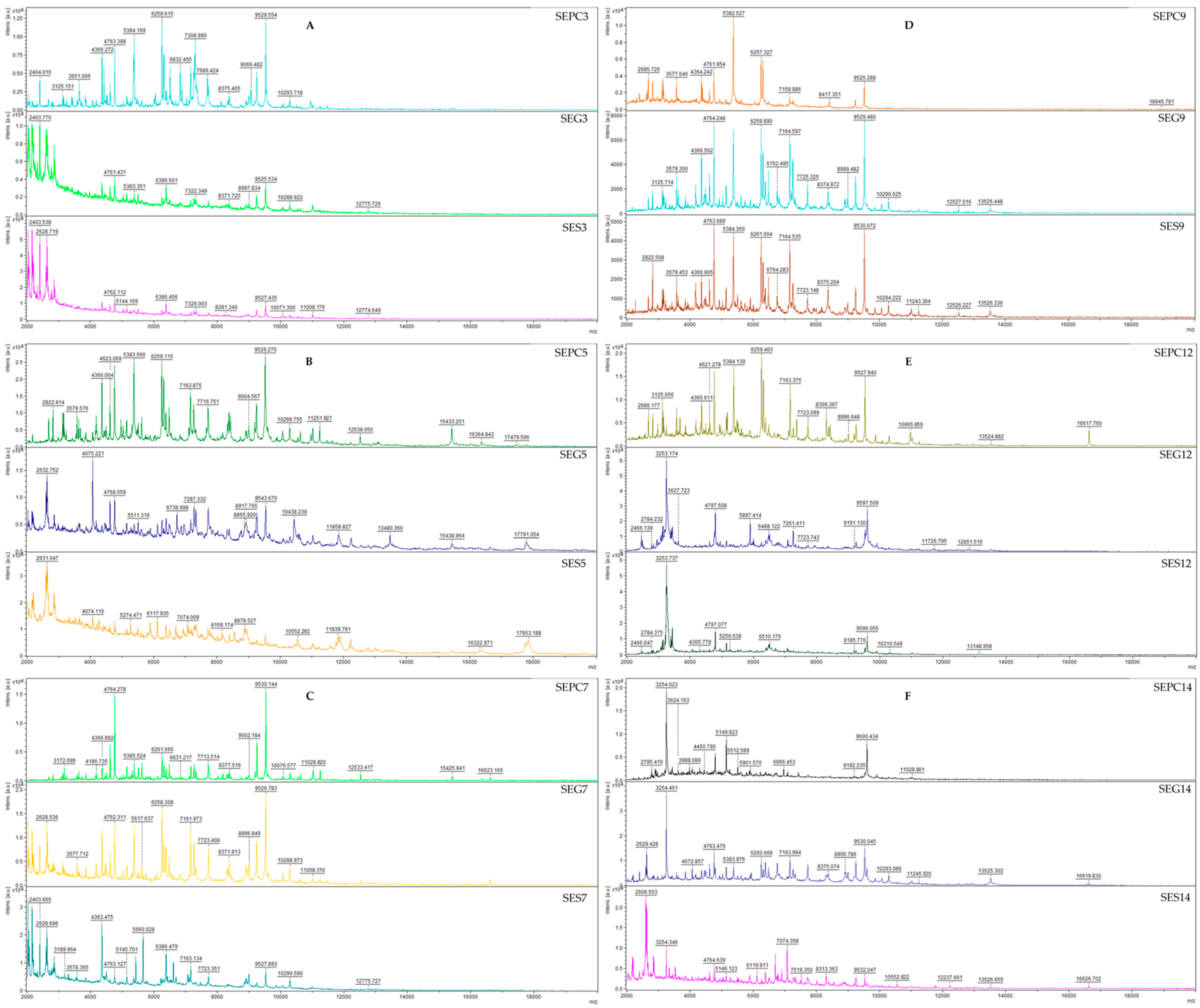 Foods 13 01505 g006 Foods 13 01505 g006