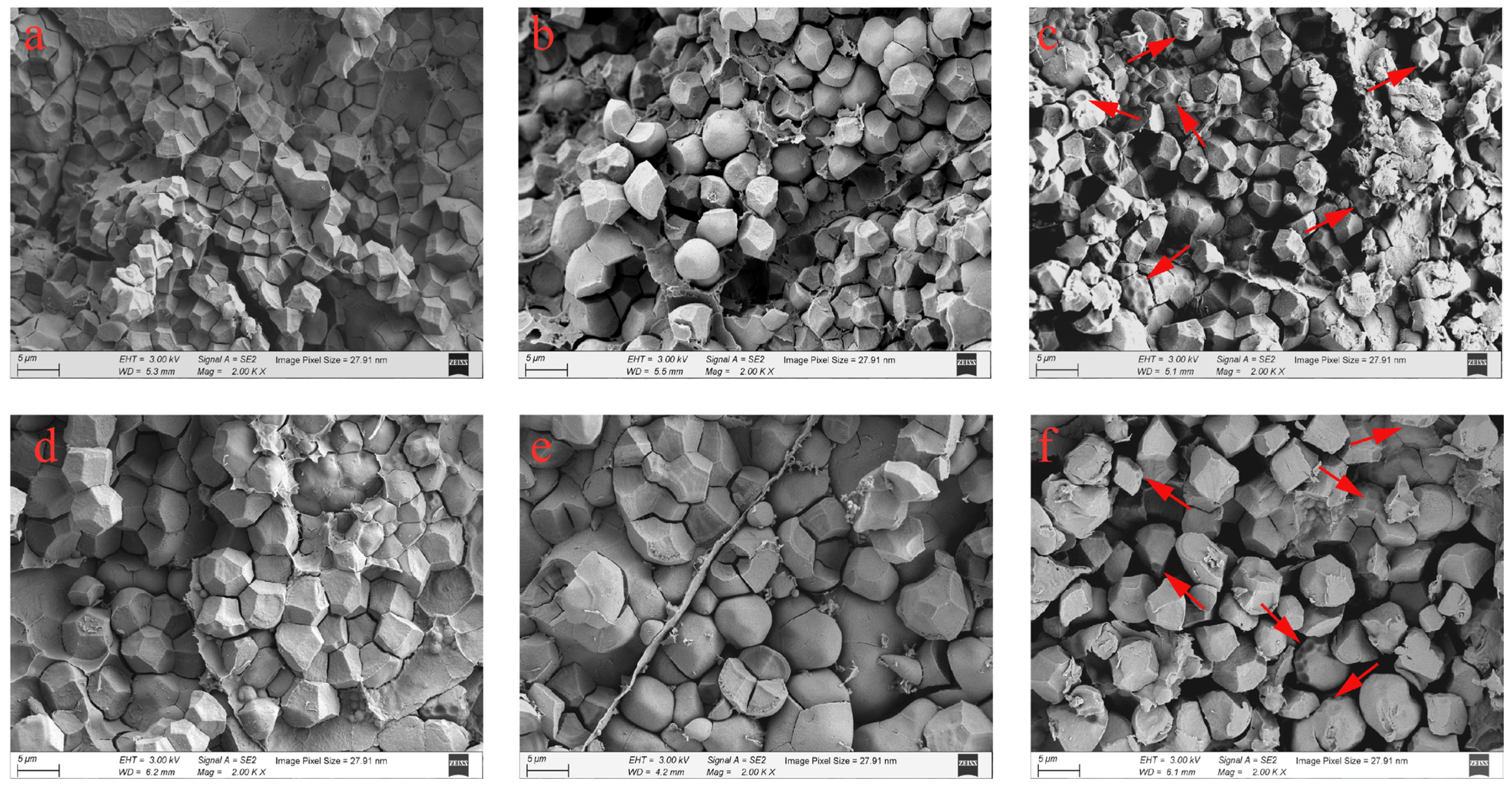Foods 13 01516 g002 Foods 13 01516 g002