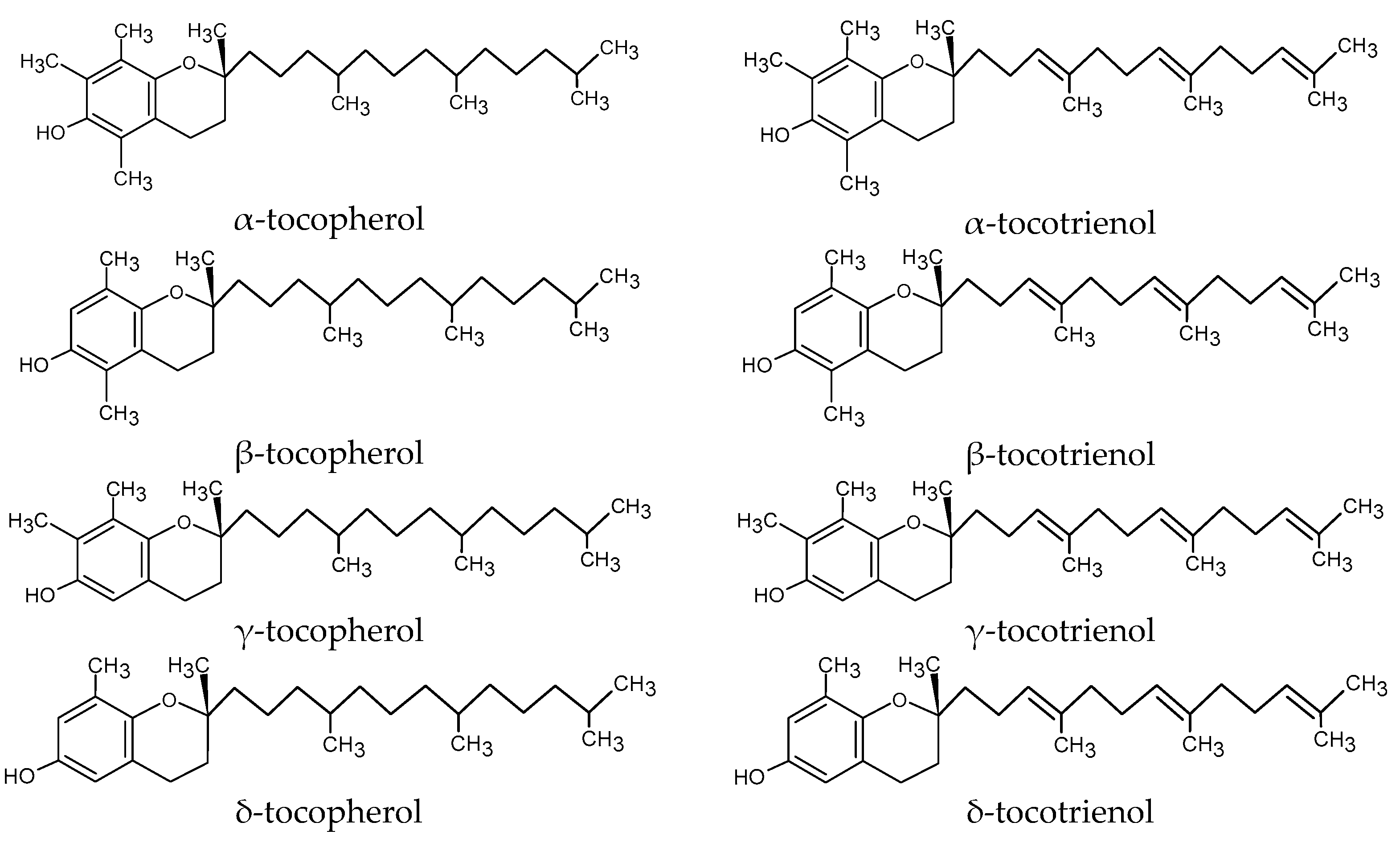 Foods 13 01549 g001 Foods 13 01549 g001