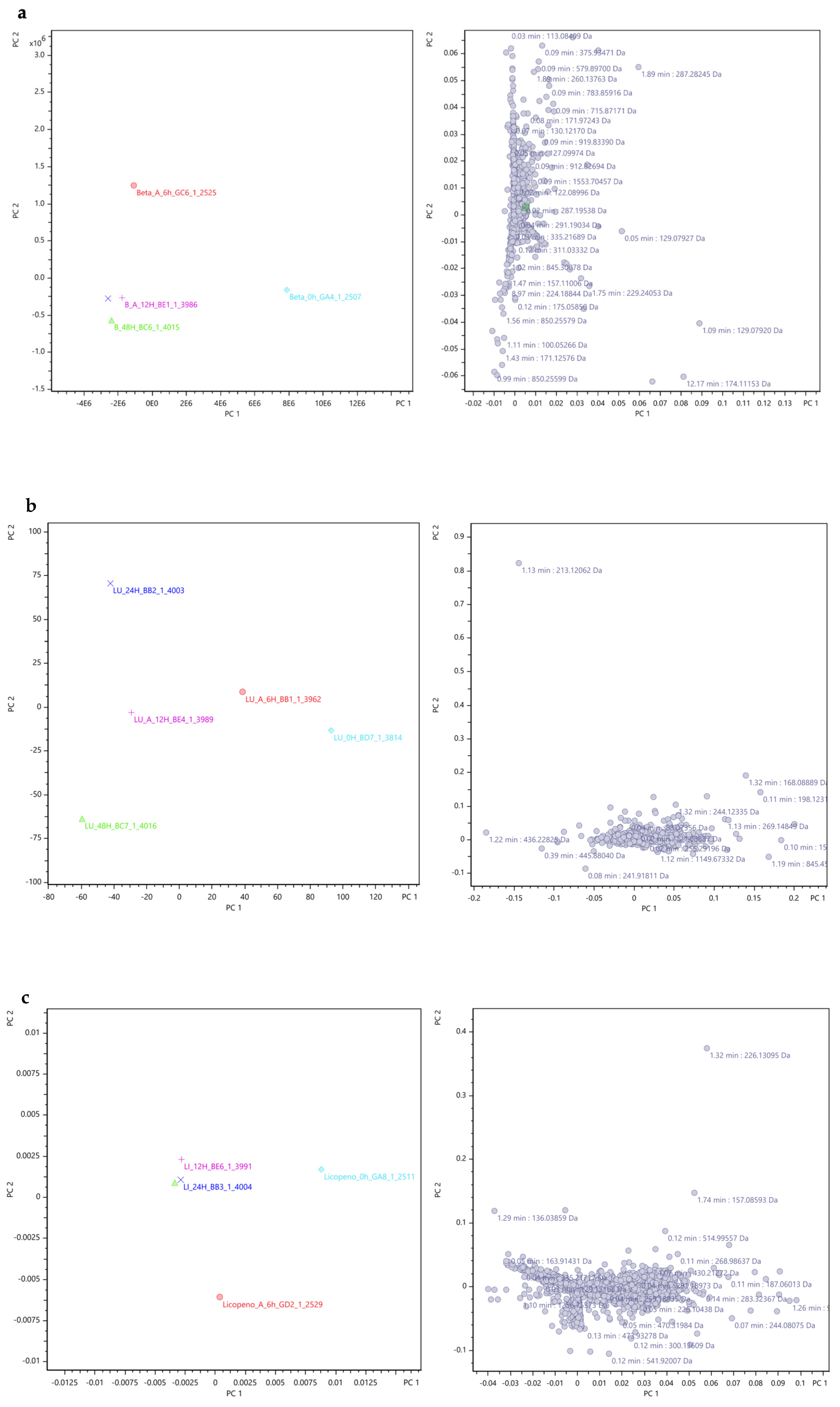 Foods 13 01599 g009a