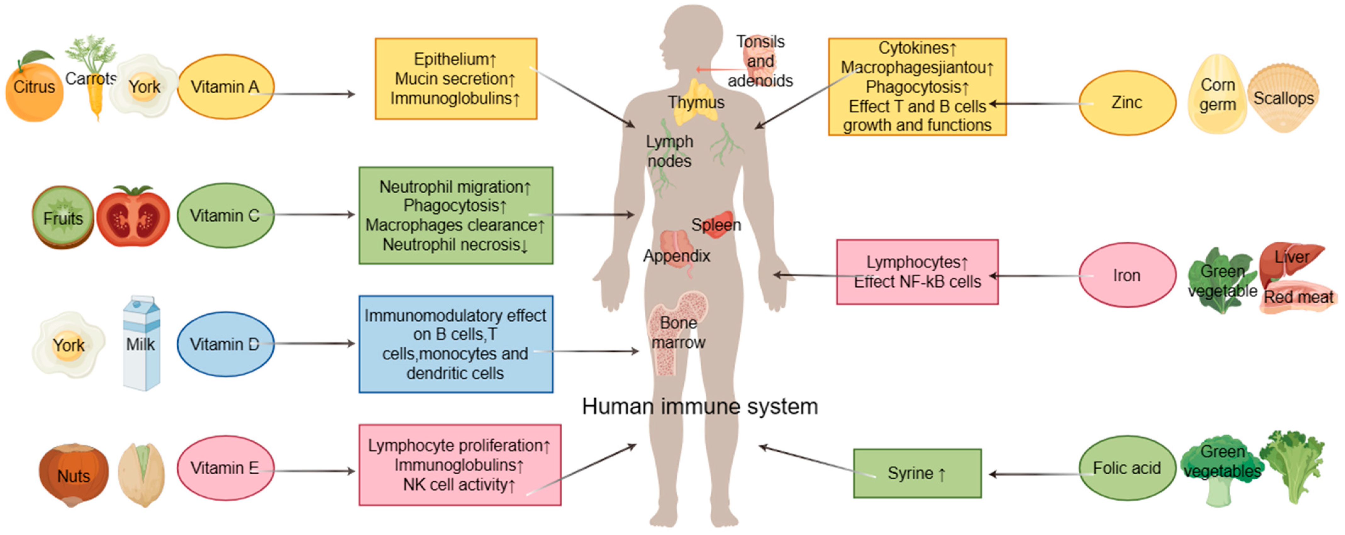 Foods 13 01610 g003 Foods 13 01610 g003