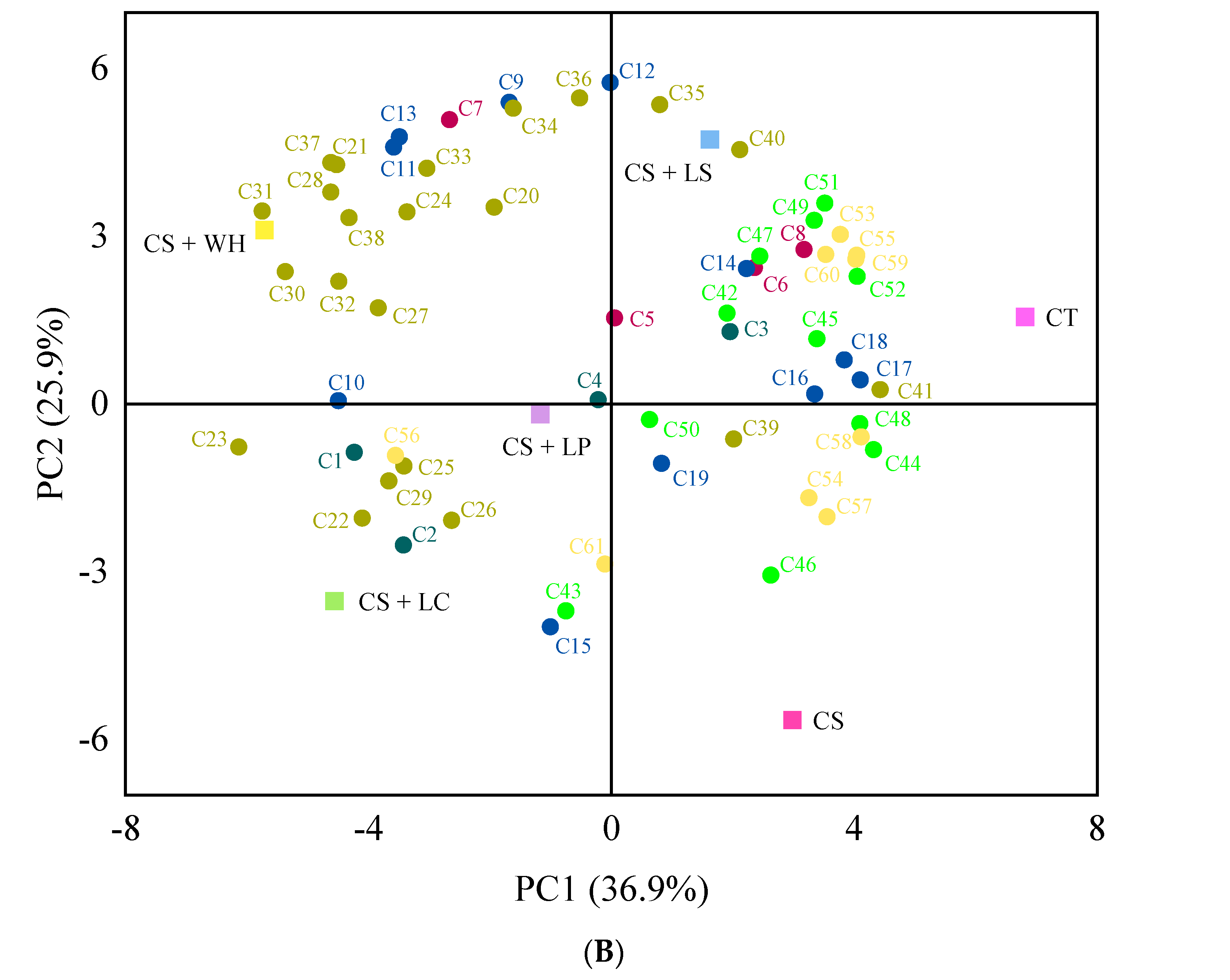 Foods 13 01747 g003b