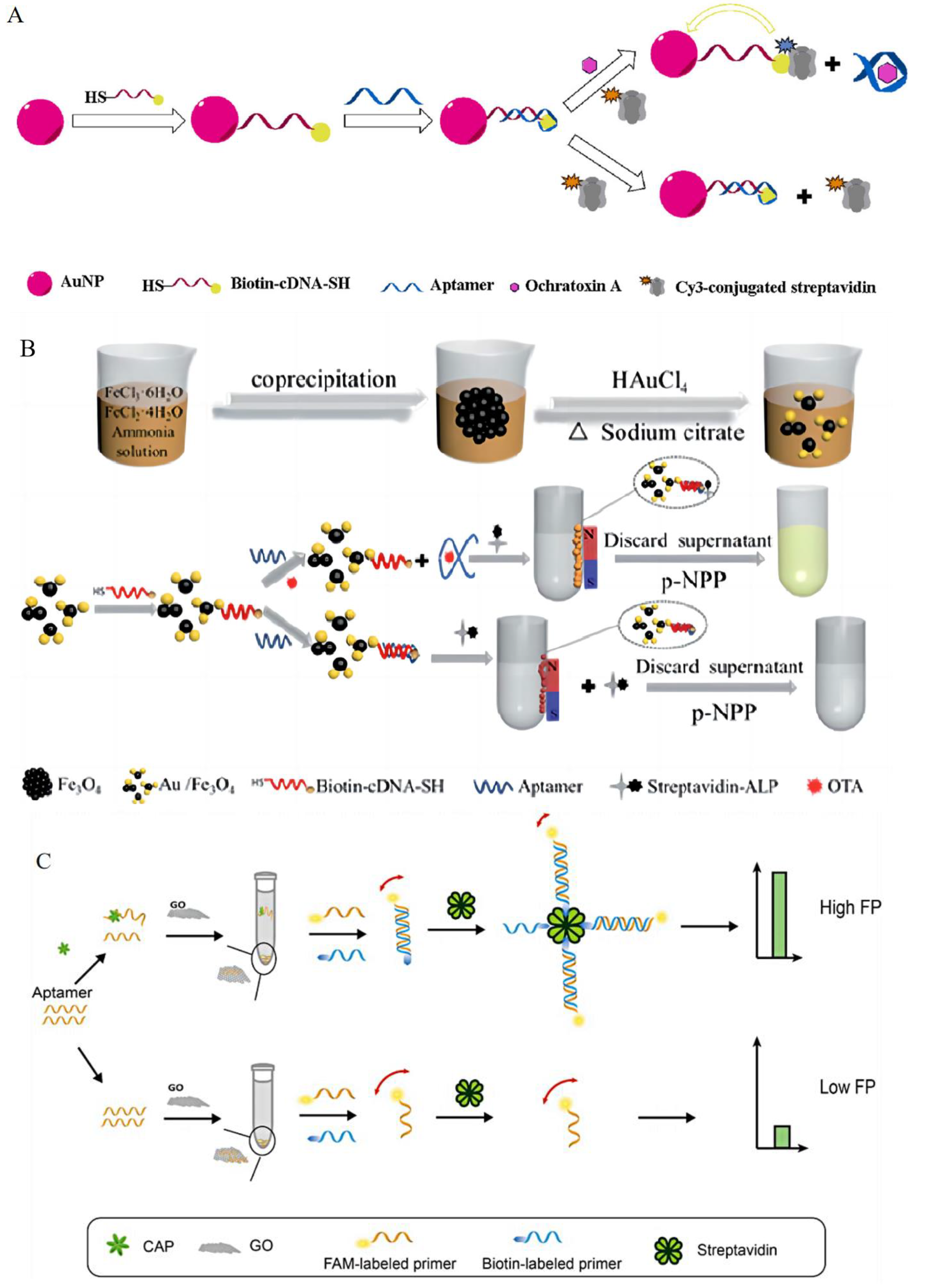 Foods 13 01749 g001a