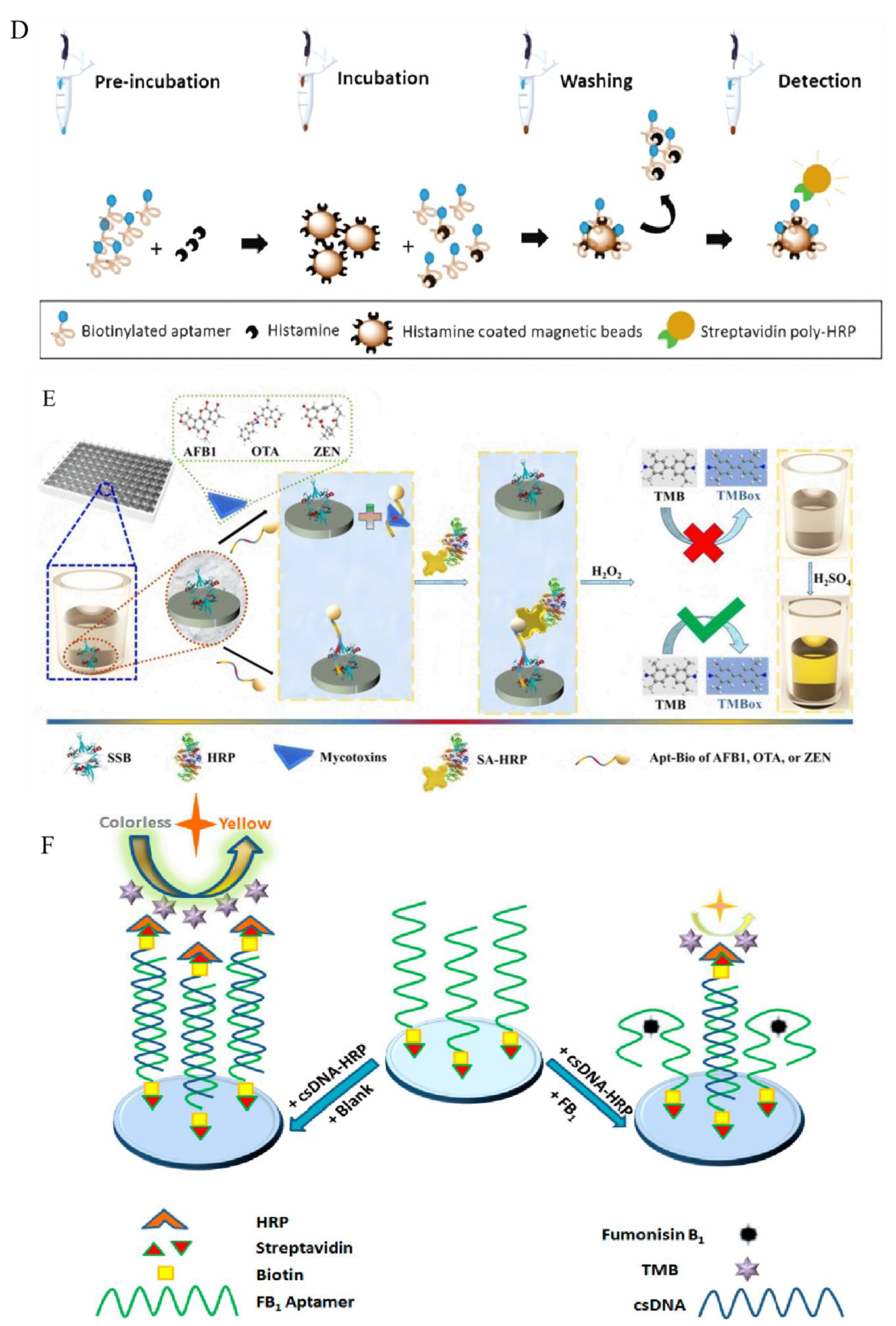 Foods 13 01749 g001b