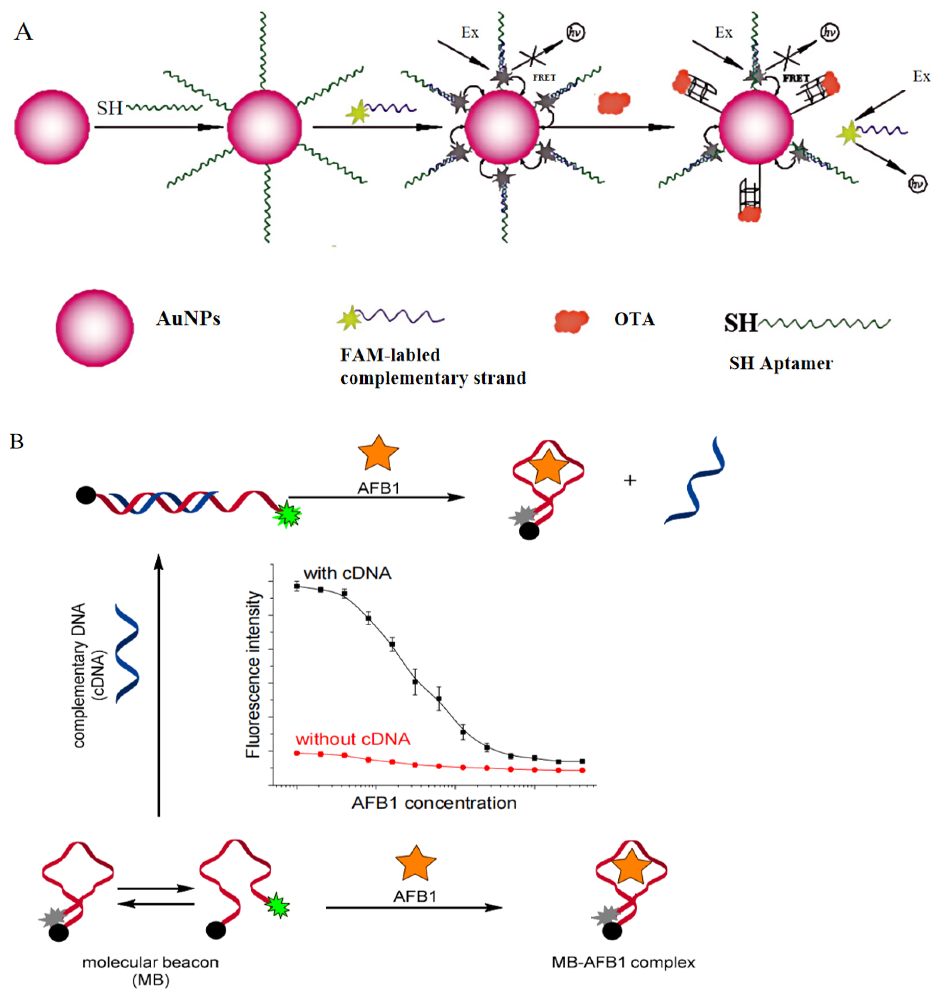 Foods 13 01749 g003a