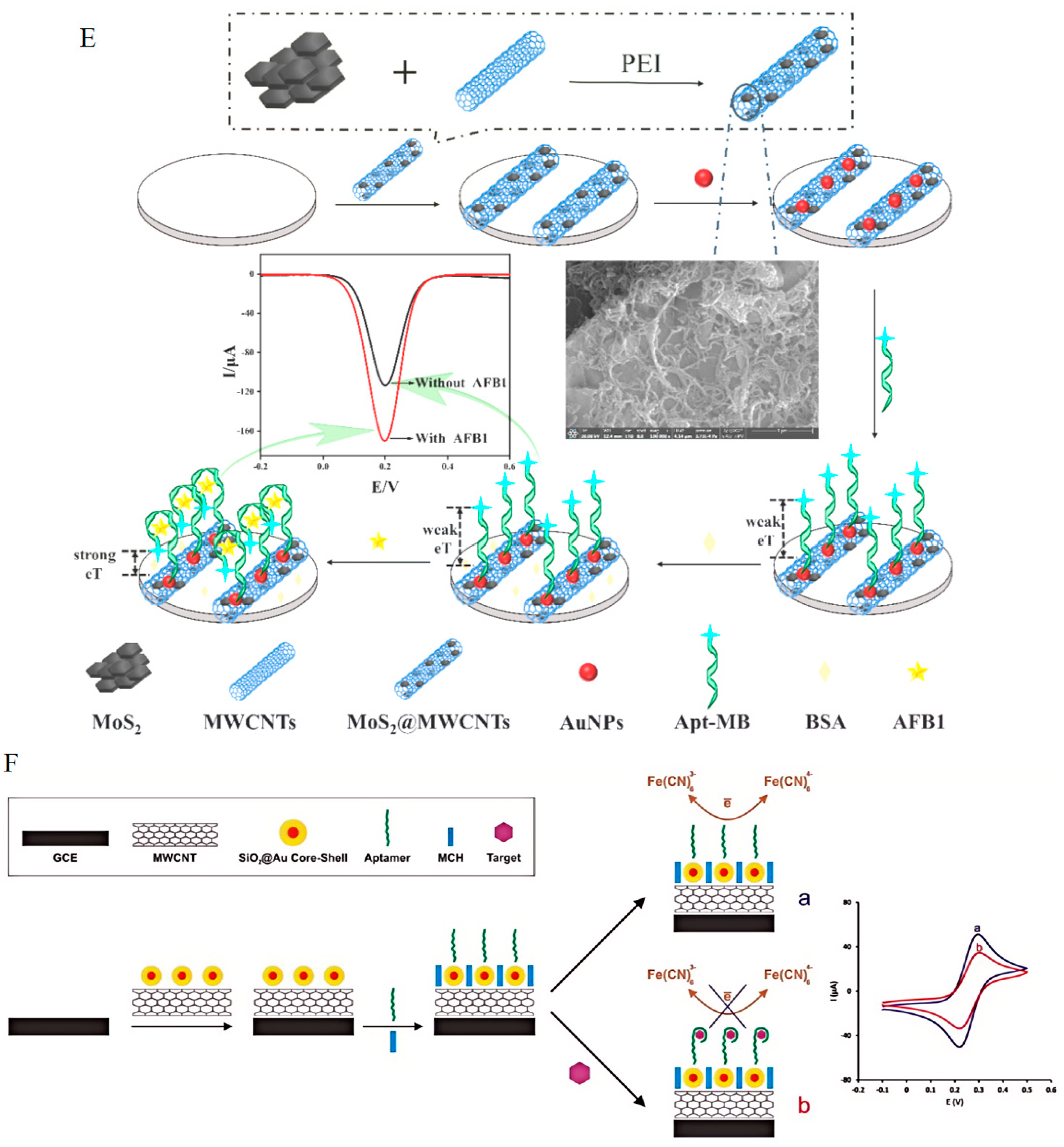 Foods 13 01749 g008b