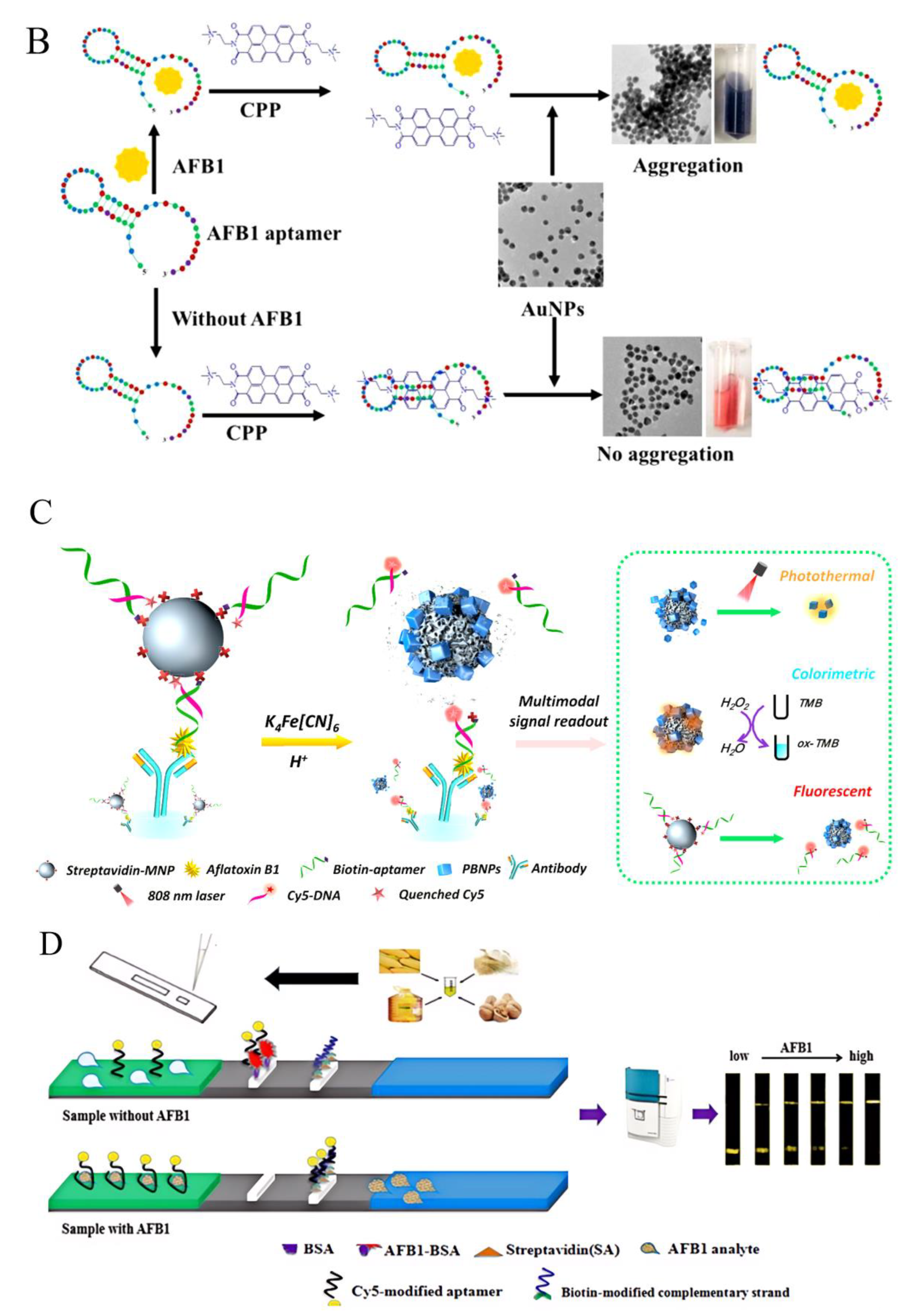 Foods 13 01749 g009b