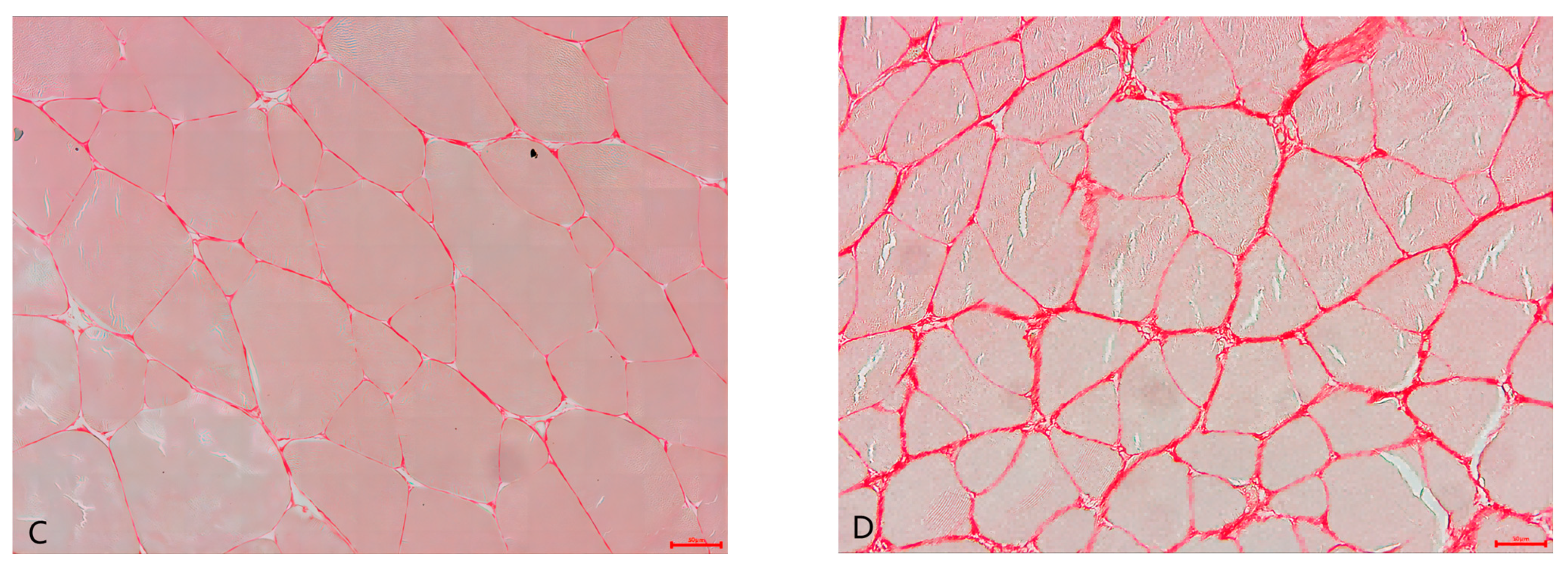 Foods 13 01751 g001b