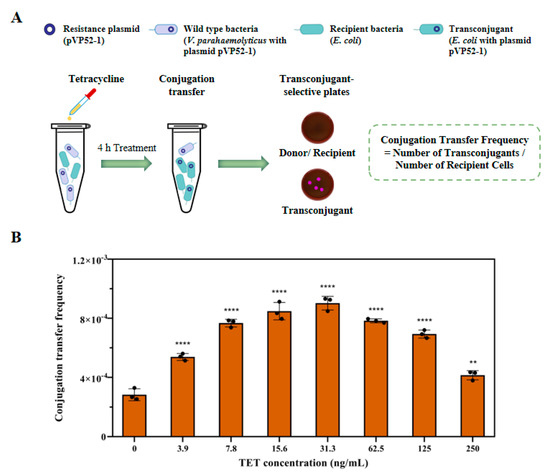 Environmentally Relevant Concentrations of Tetracycline