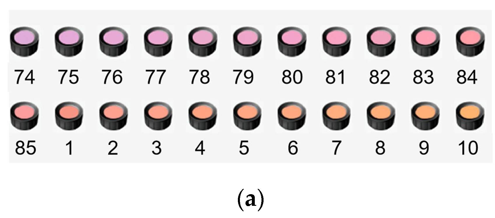 Foods 13 01827 g005a