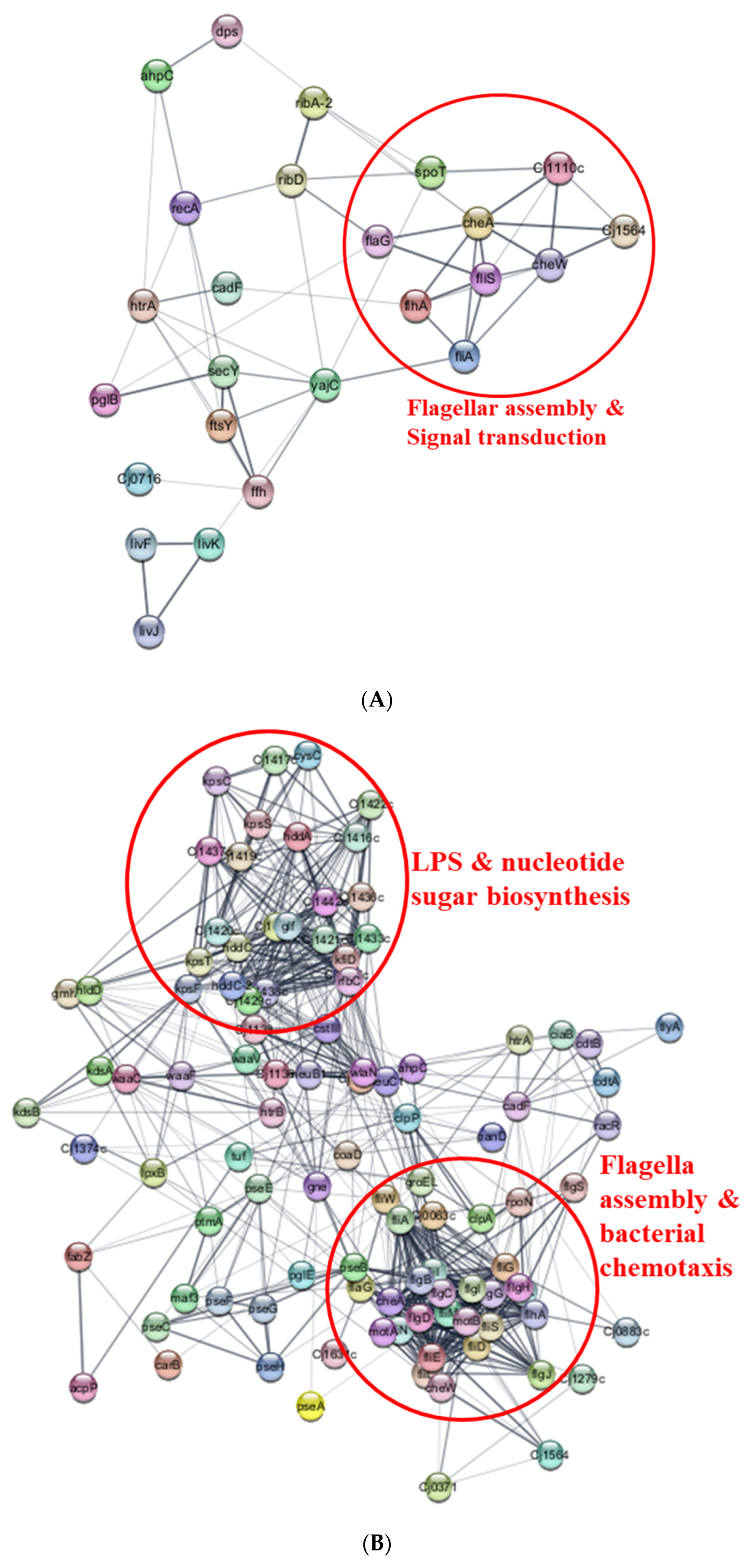 Foods 13 01828 g011a