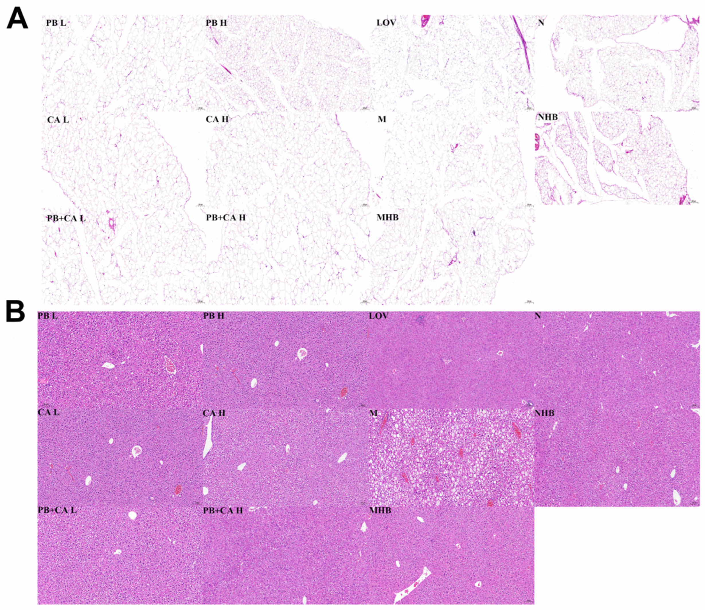 Foods 13 01843 g004 Foods 13 01843 g004