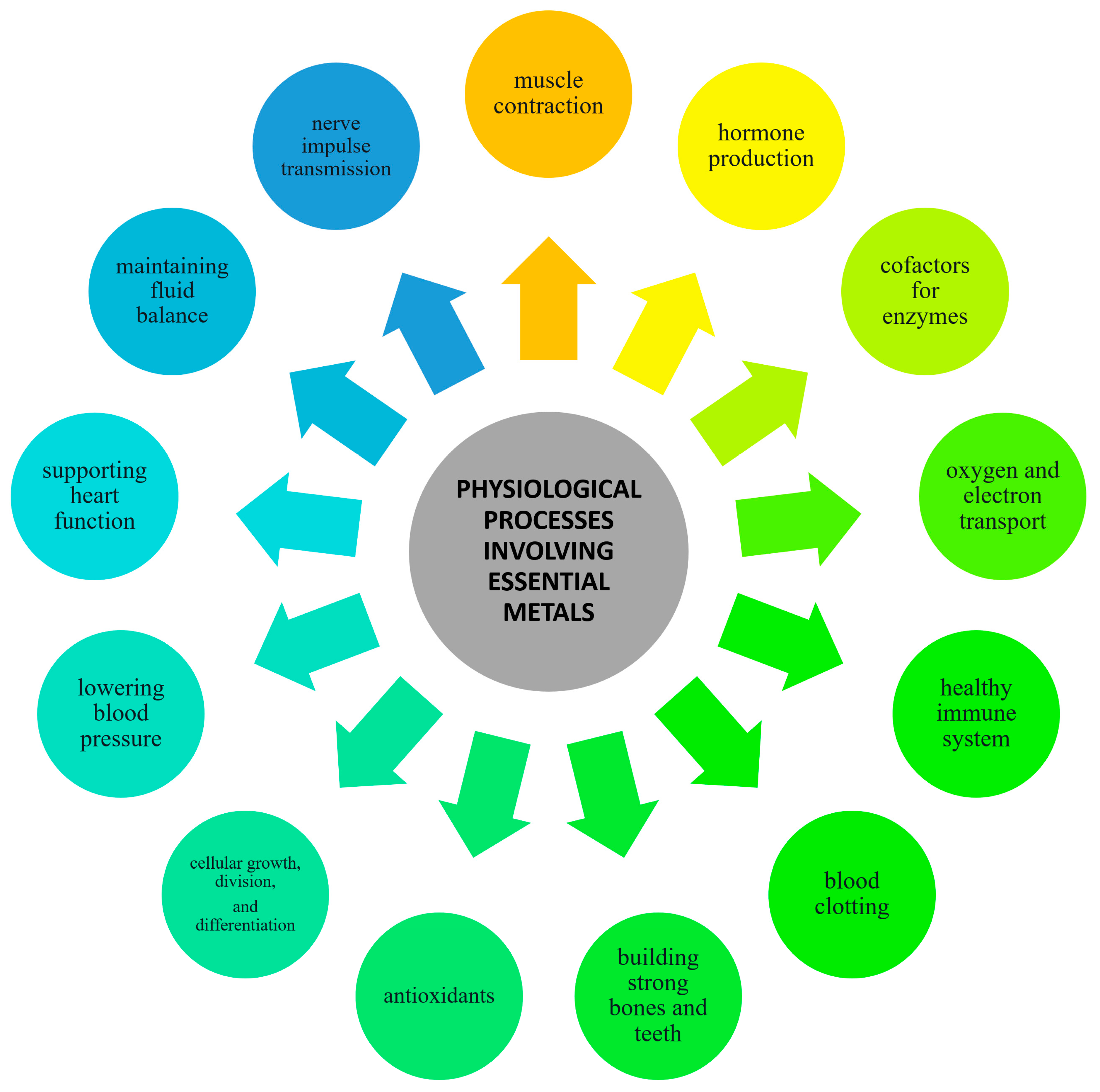 Foods 13 01890 g001 Foods 13 01890 g001