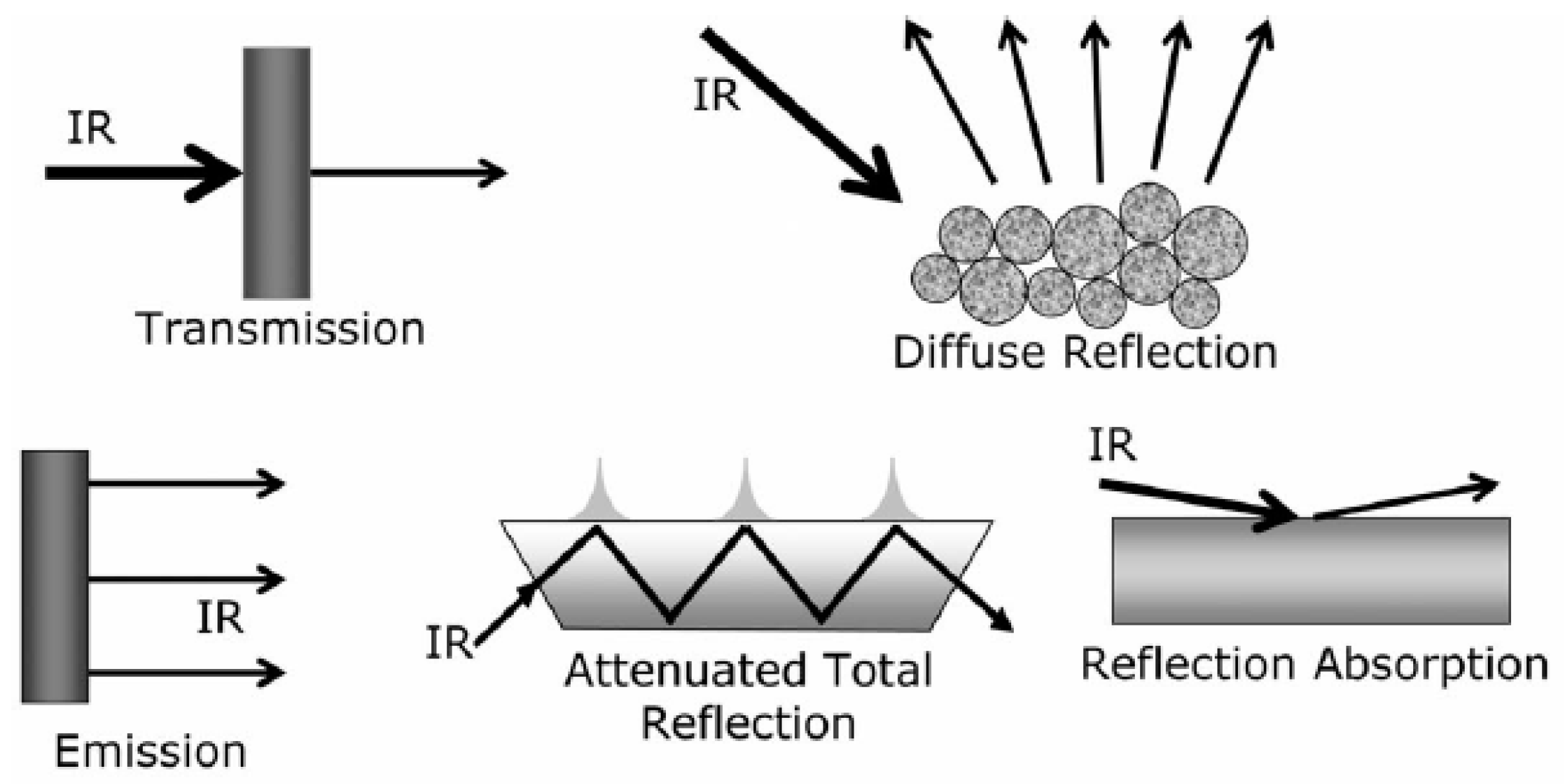Foods 13 01891 g005 Foods 13 01891 g005