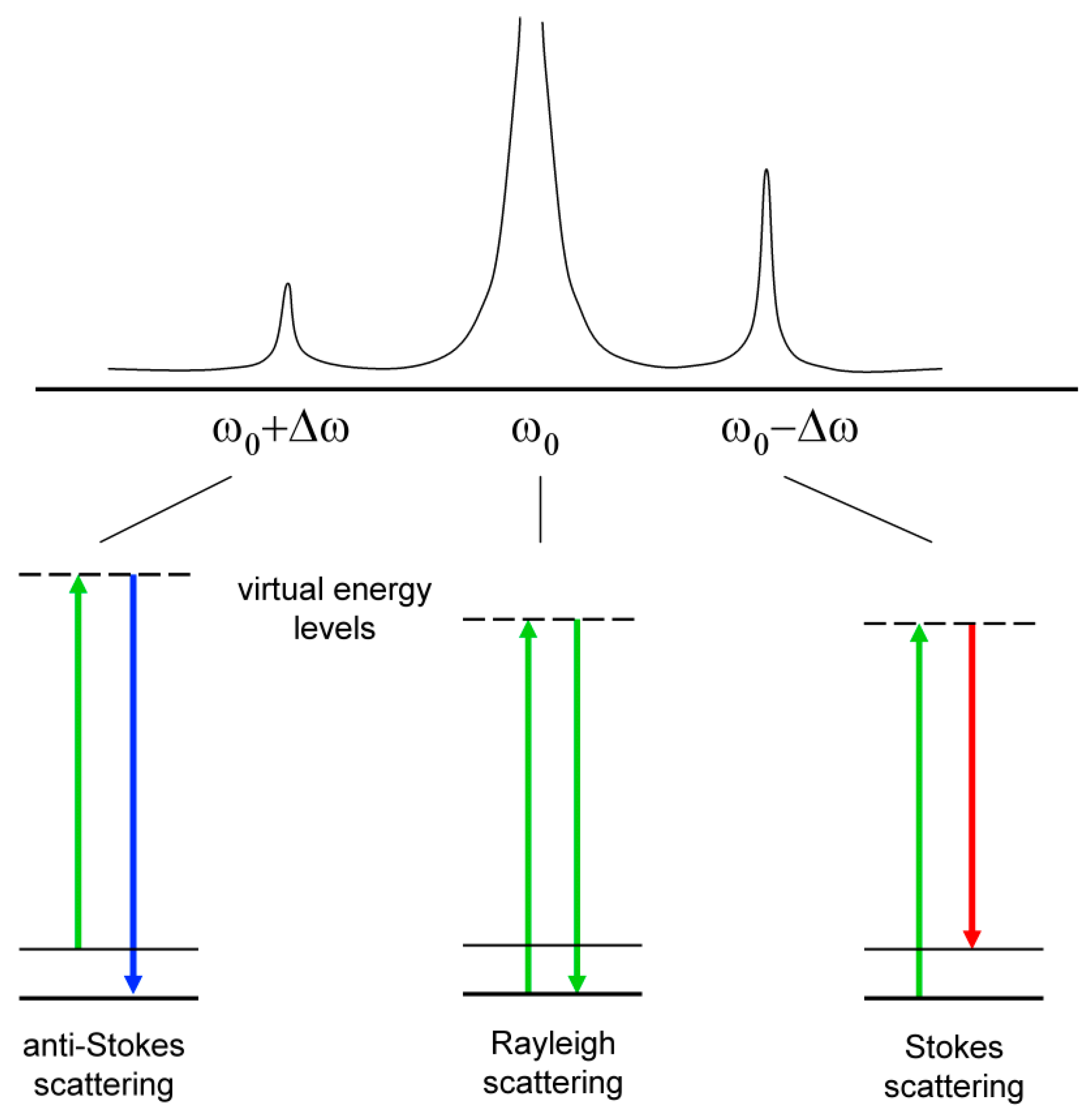 Foods 13 01891 g006 Foods 13 01891 g006