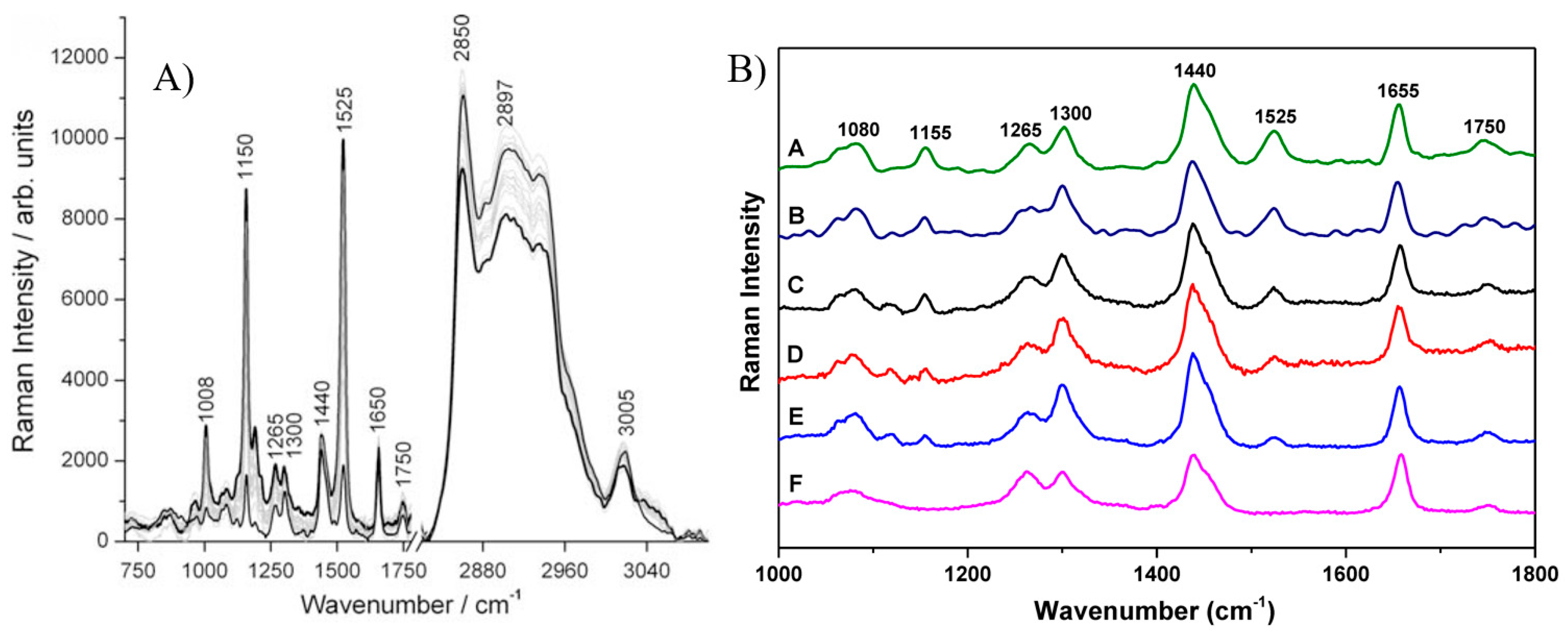 Foods 13 01891 g007 Foods 13 01891 g007
