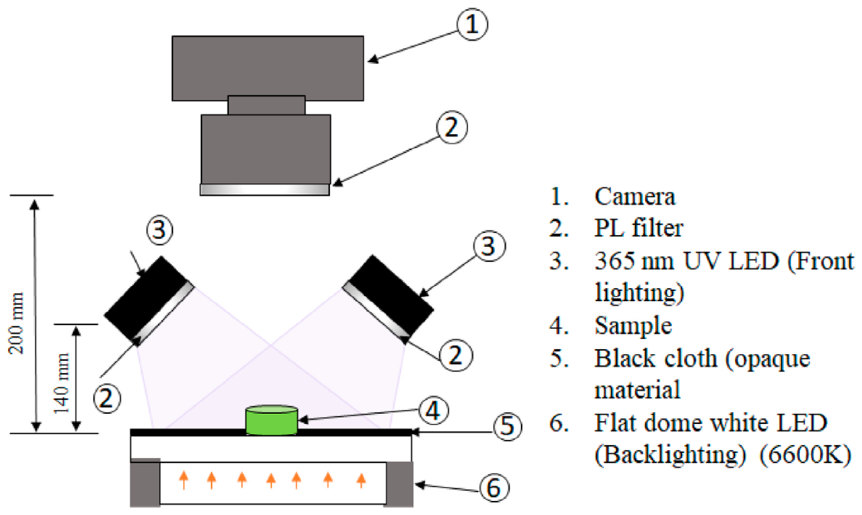 Foods 13 01891 g014 Foods 13 01891 g014